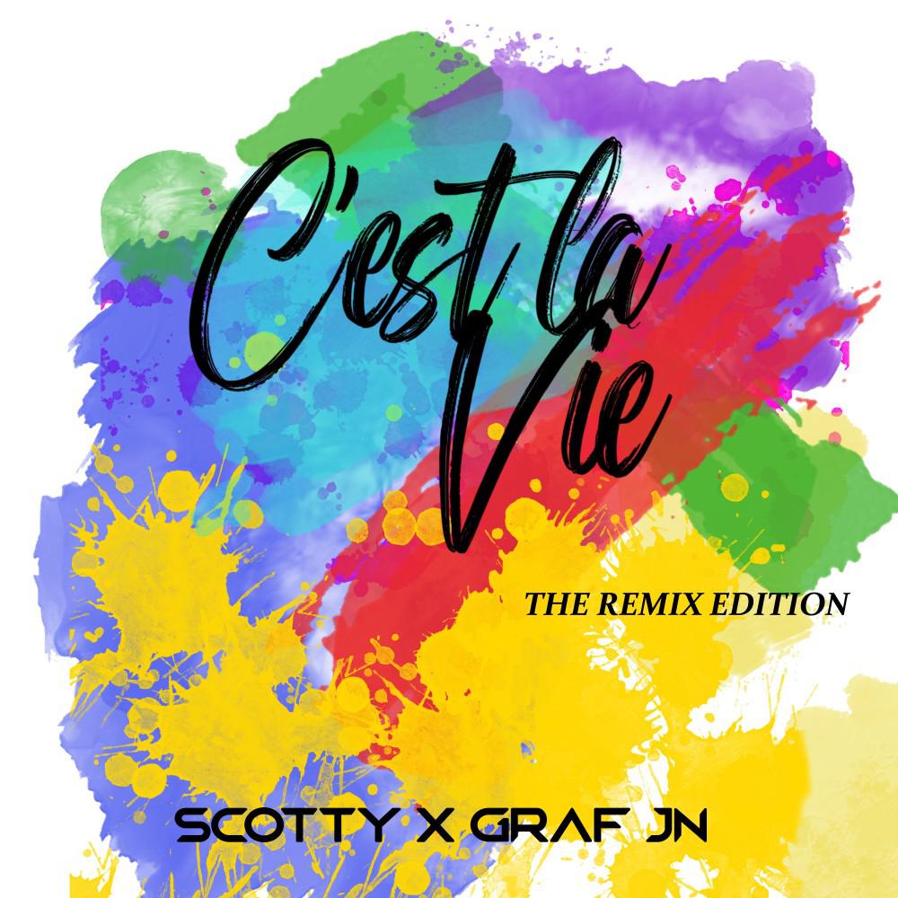 Постер альбома C'est la Vie (The Remix Edition)