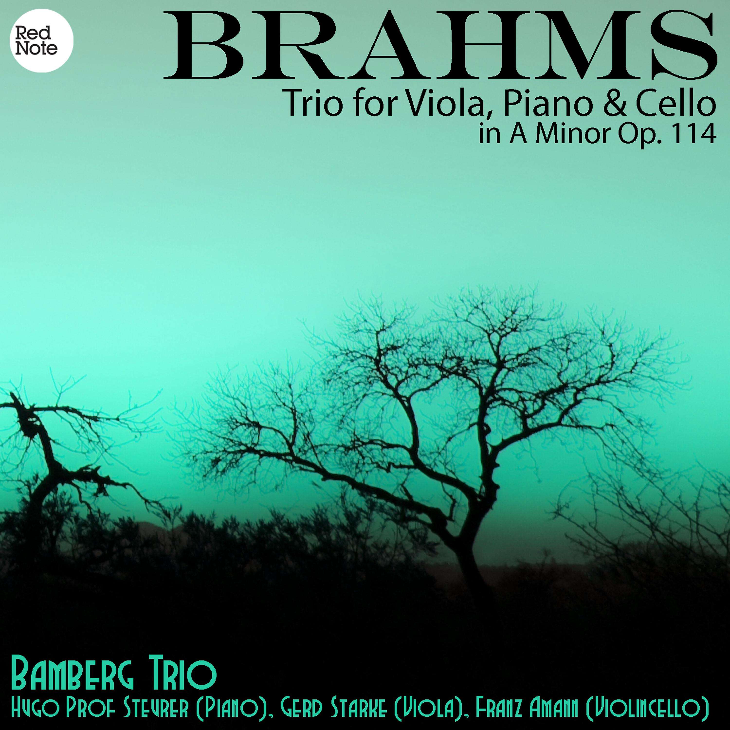Постер альбома Brahms: Trio for Viola, Piano & Cello in A Minor Op. 114