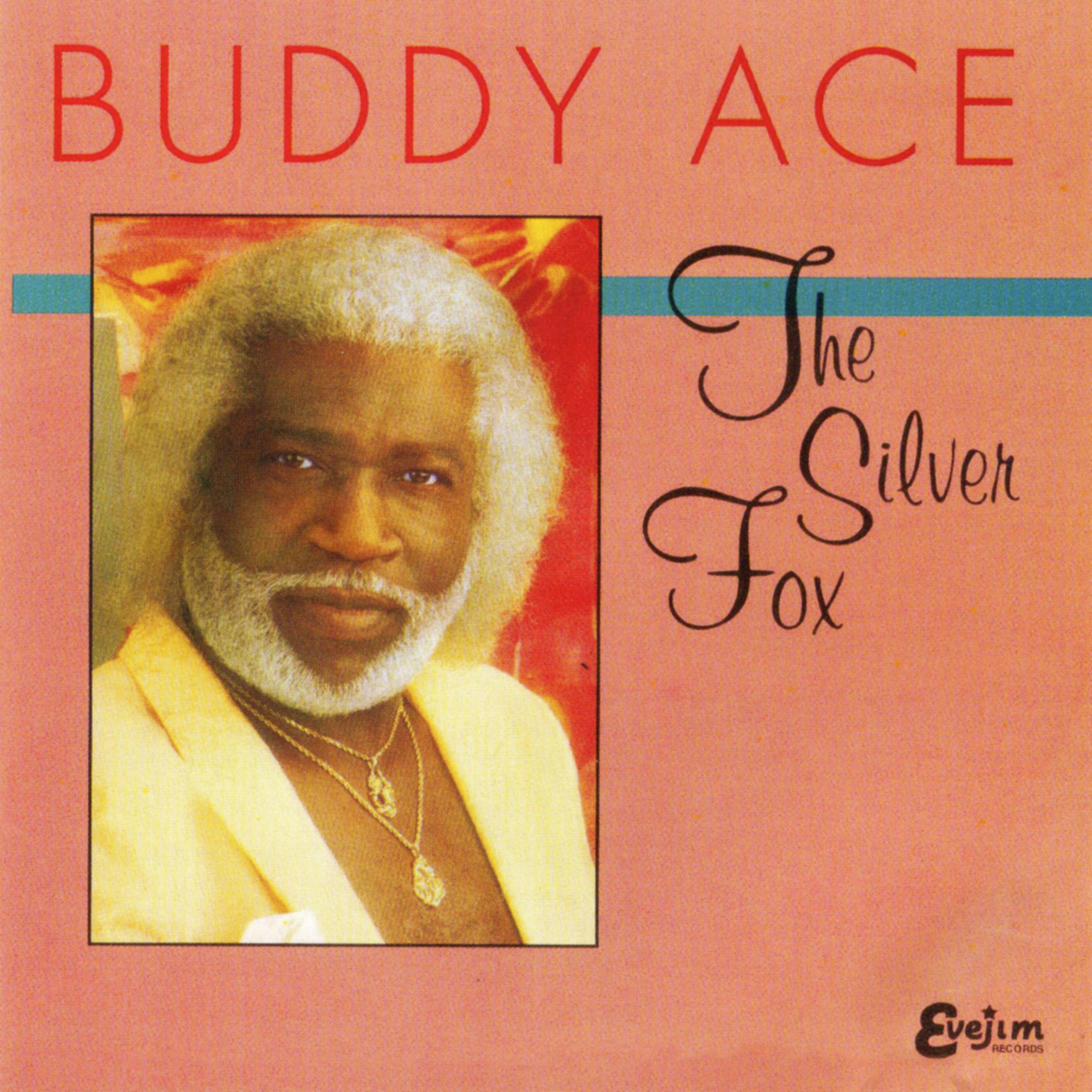 Постер альбома The Silver Fox