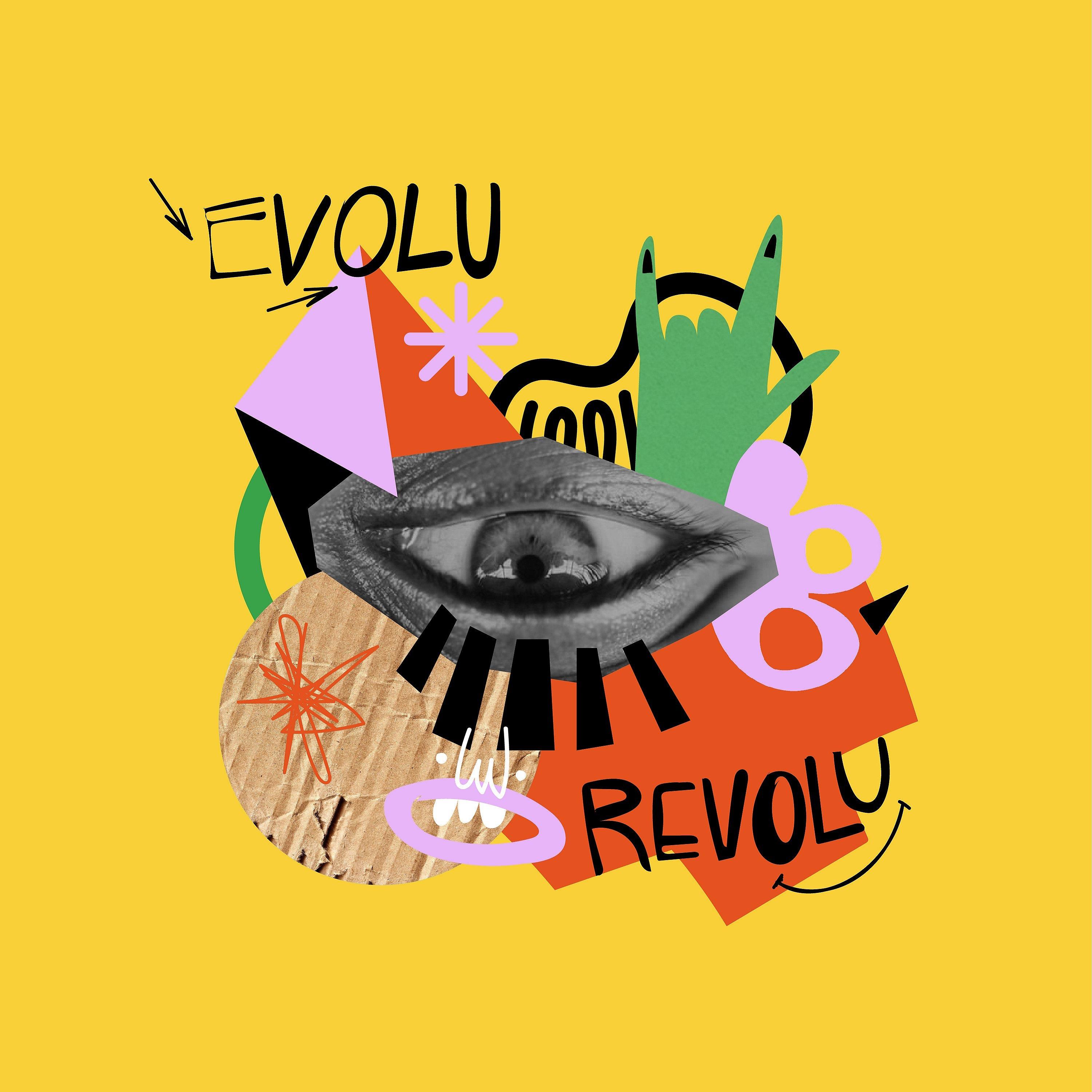 Постер альбома Evolu Revolu