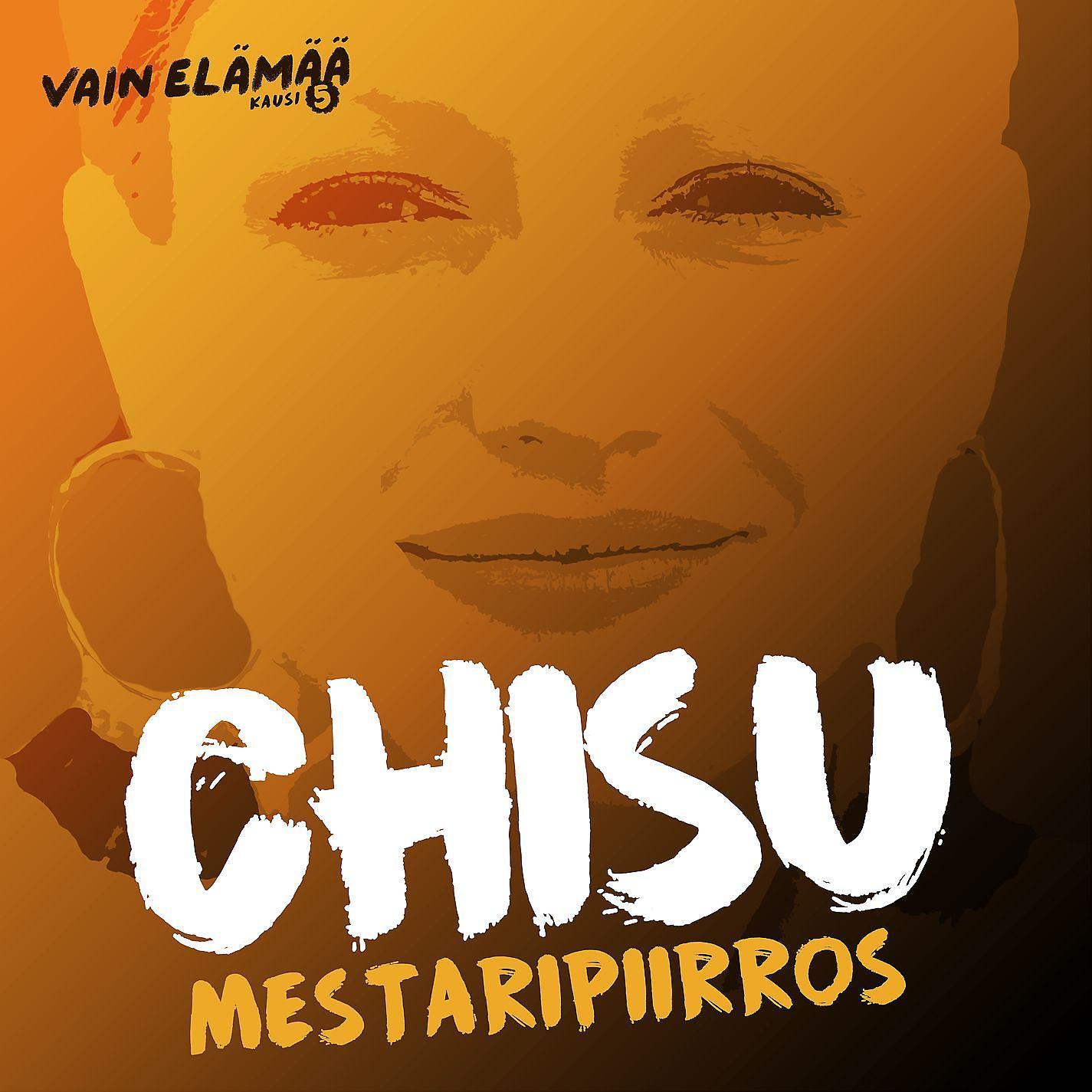 Постер альбома Mestaripiirros (Vain elämää kausi 5)