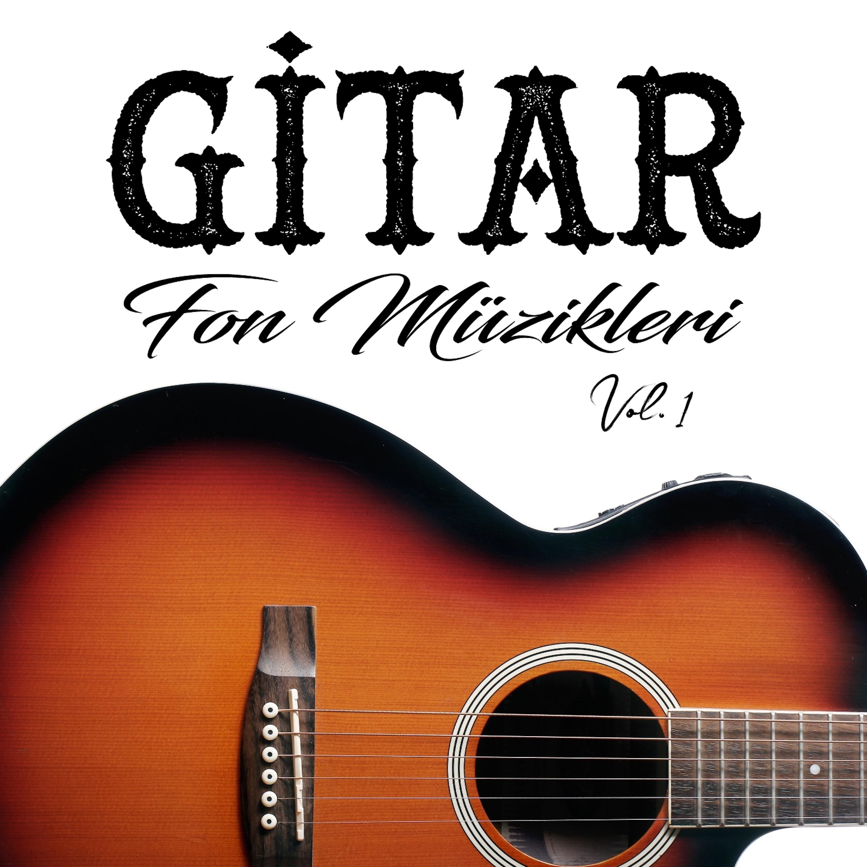 Постер альбома Gitar Fon Müzikleri Vol.1