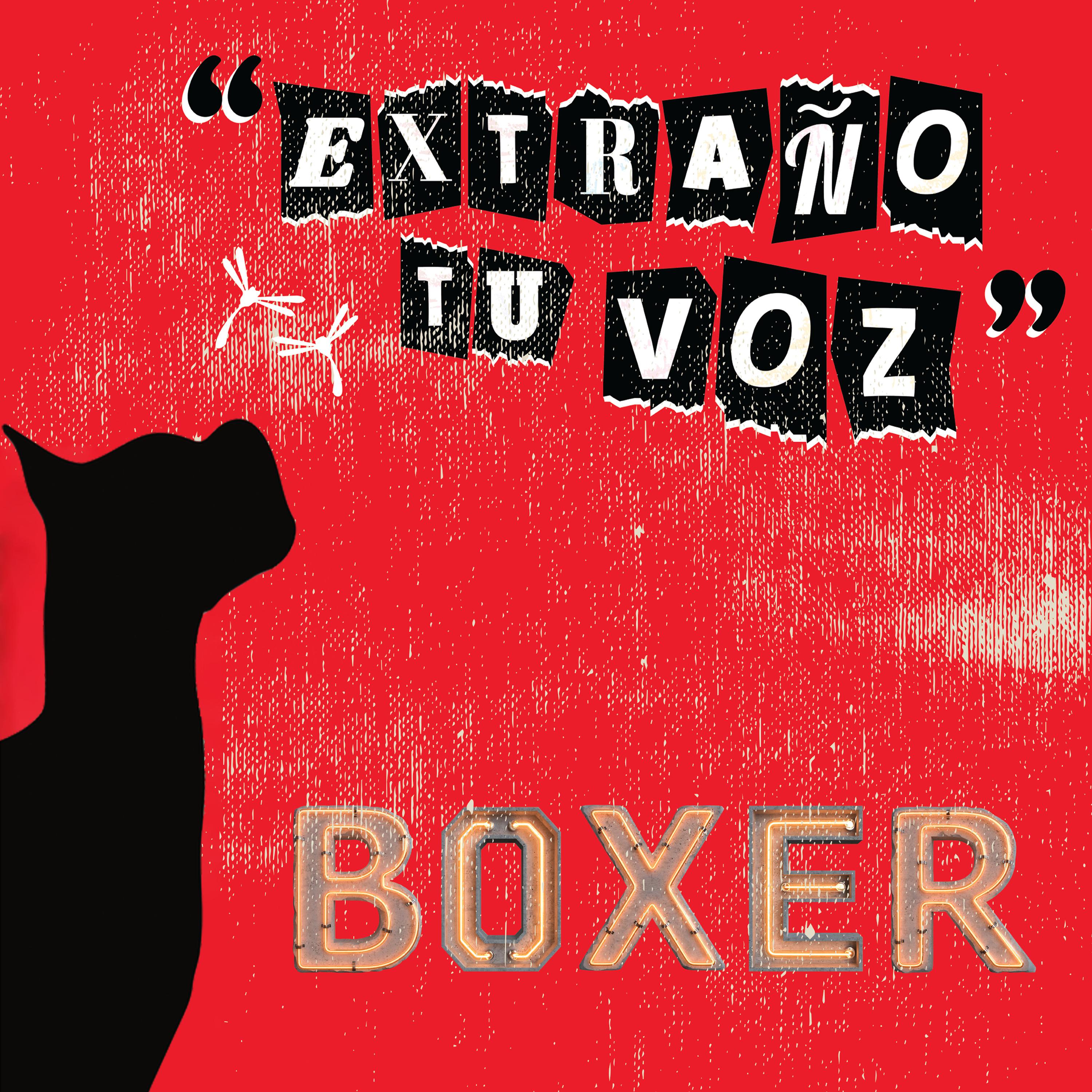 Постер альбома Extraño Tu Voz