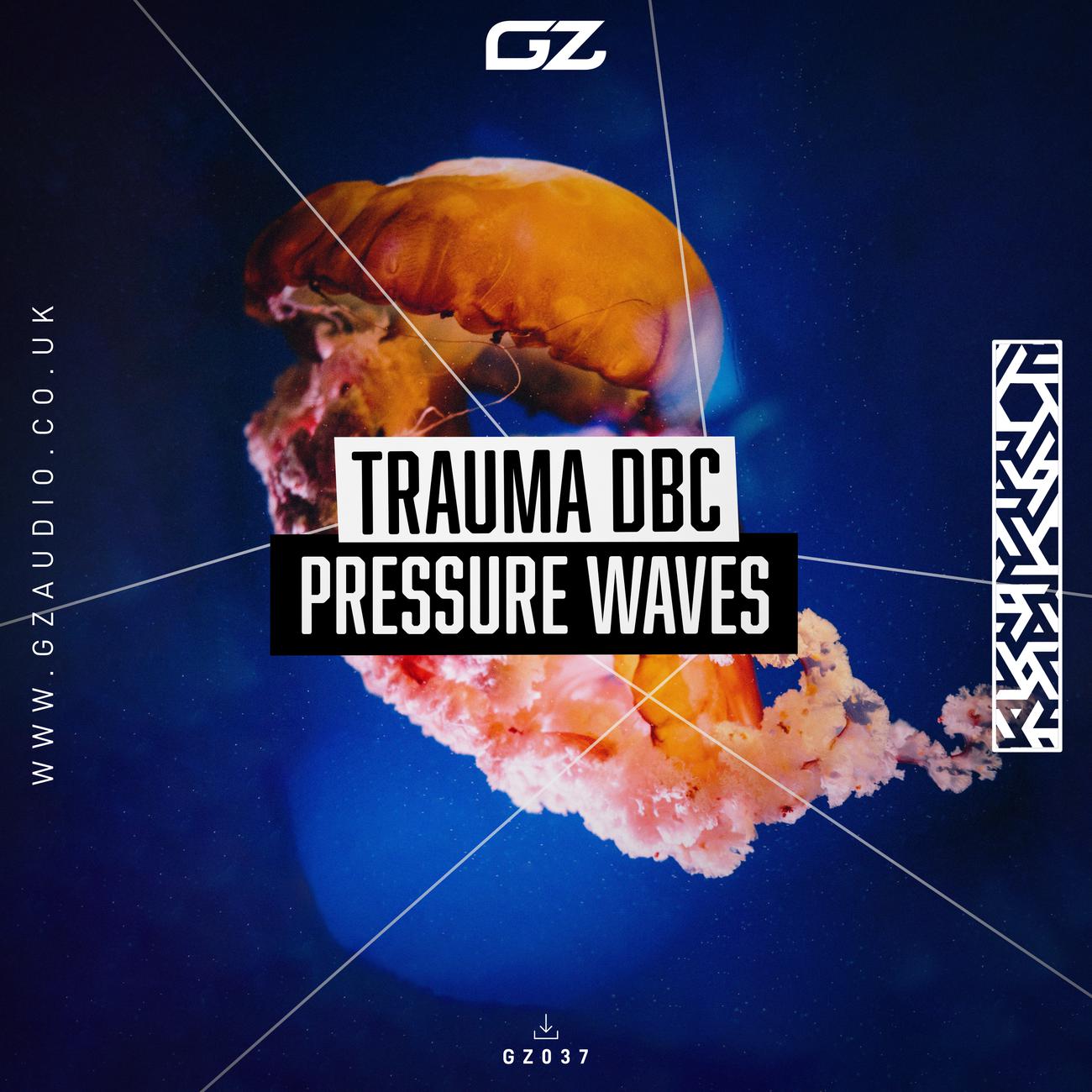 Постер альбома Pressure Waves