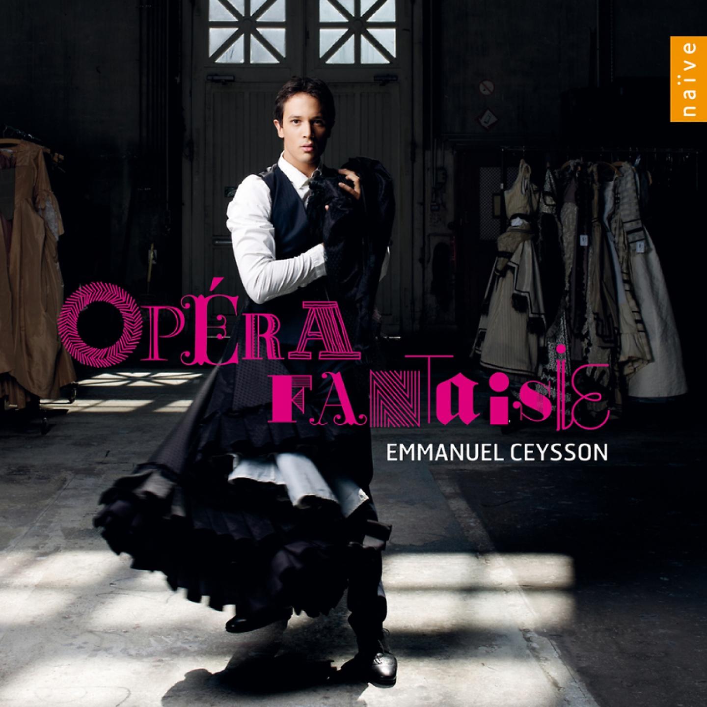 Постер альбома Opéra Fantaisies