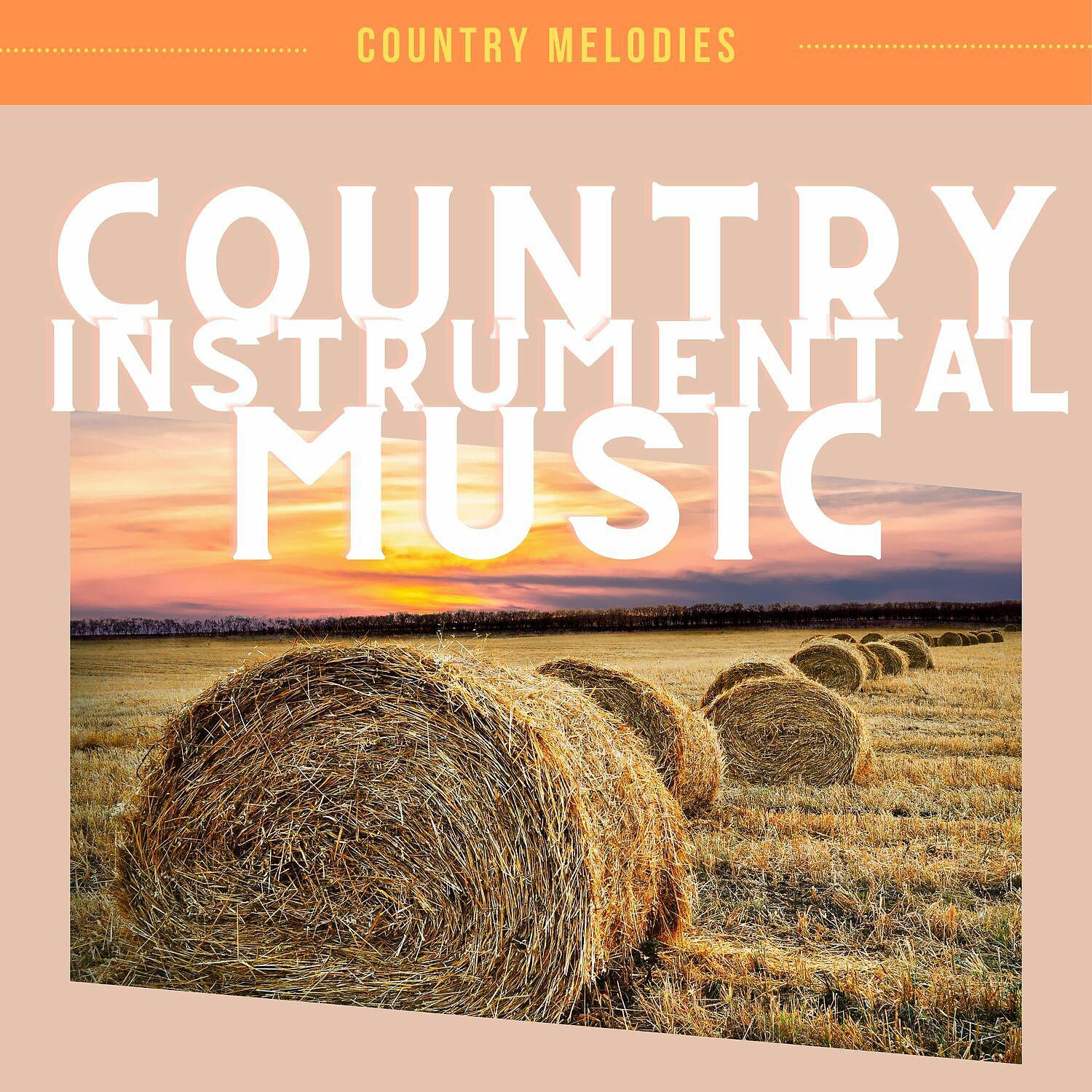 Постер альбома Country Instrumental Music