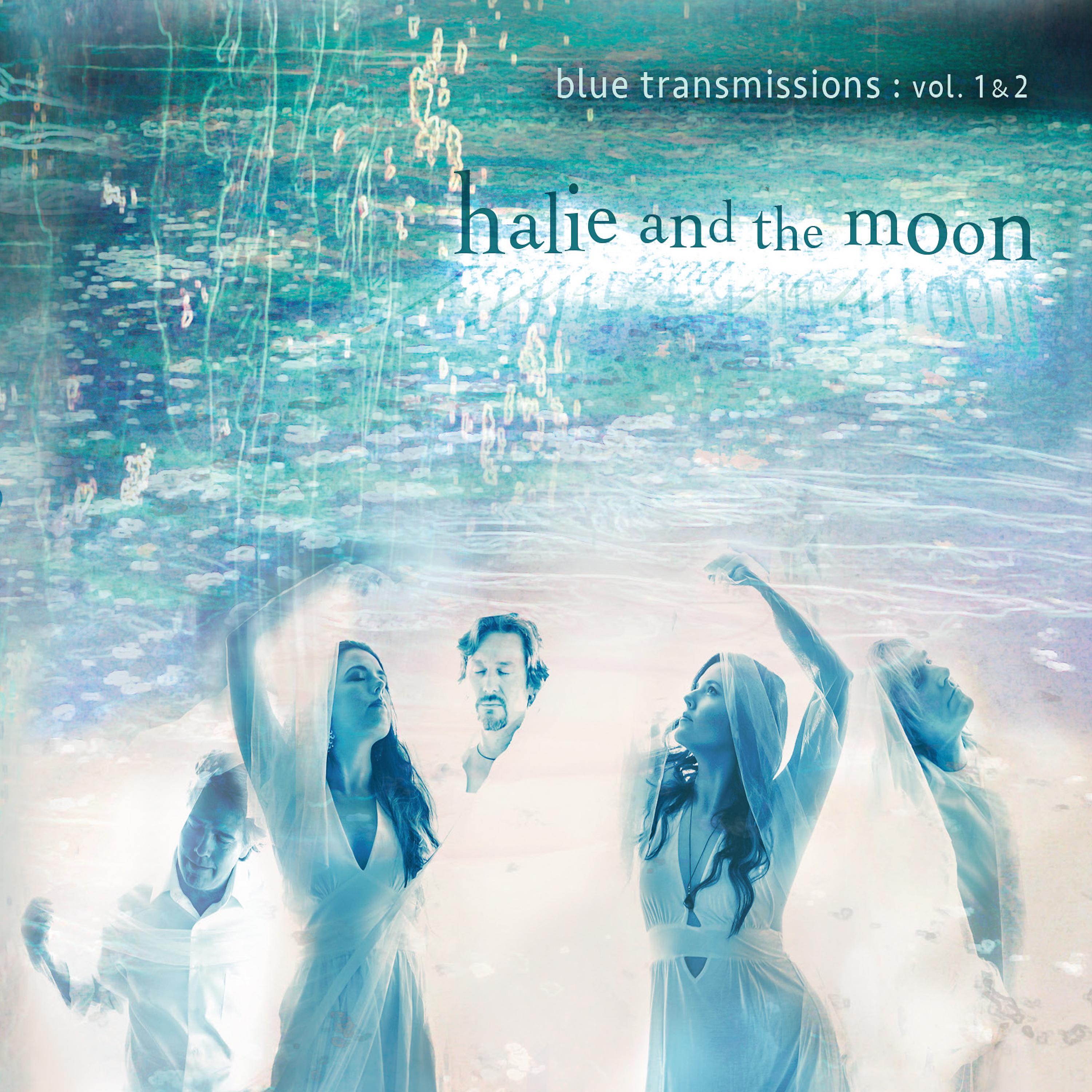 Постер альбома Blue Transmissions: Vol. 1 & 2
