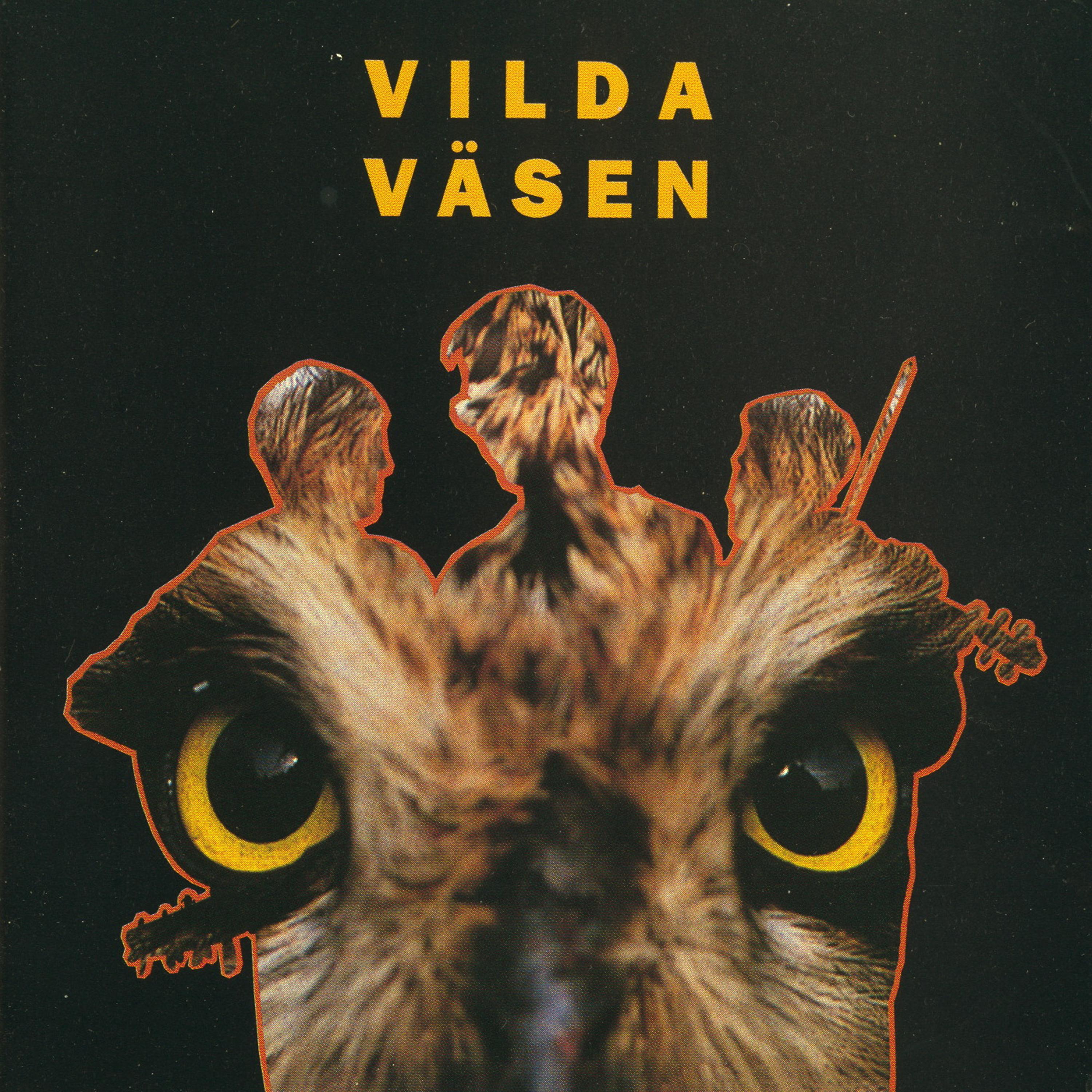 Постер альбома Vilda Väsen