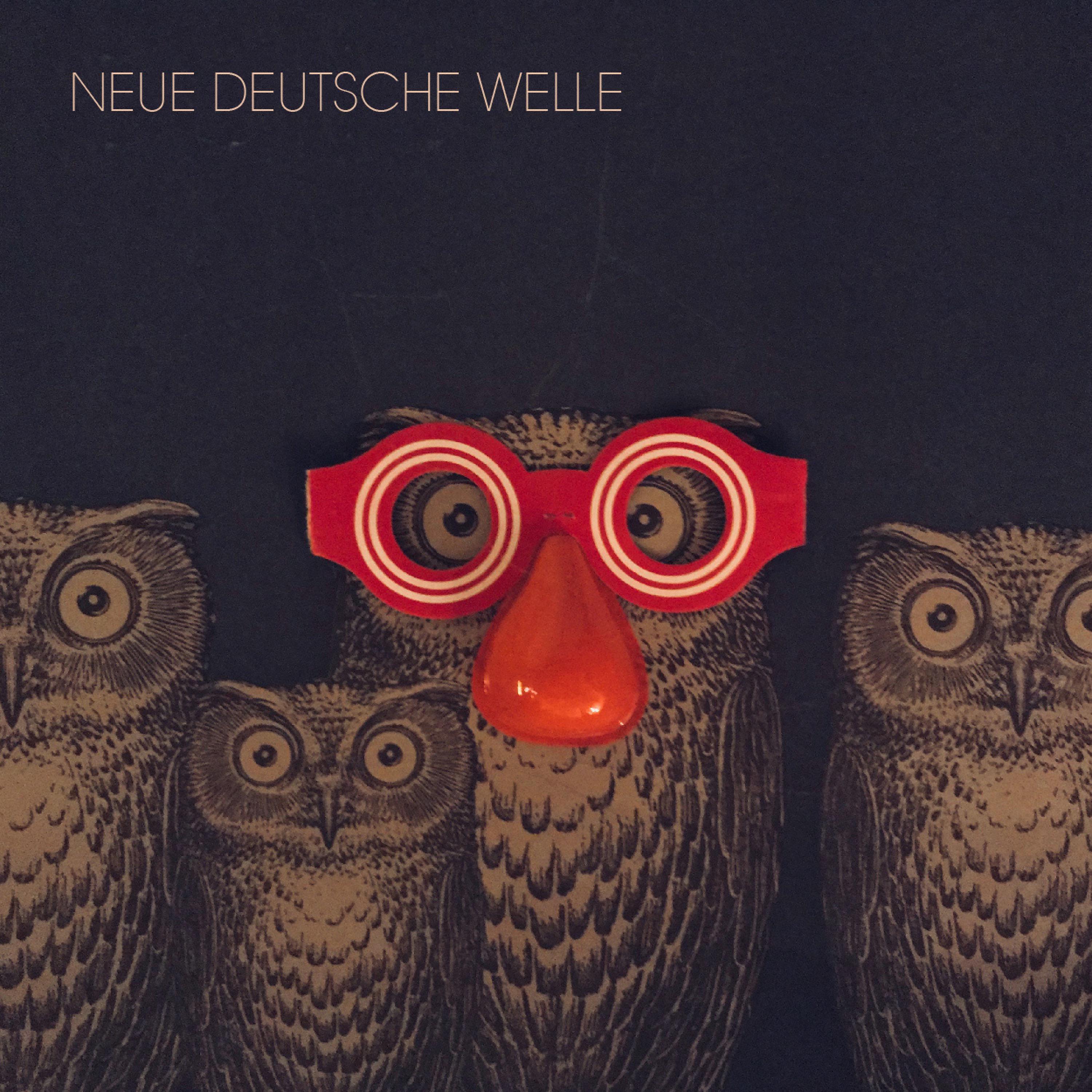 Постер альбома Neue Deutsche Welle