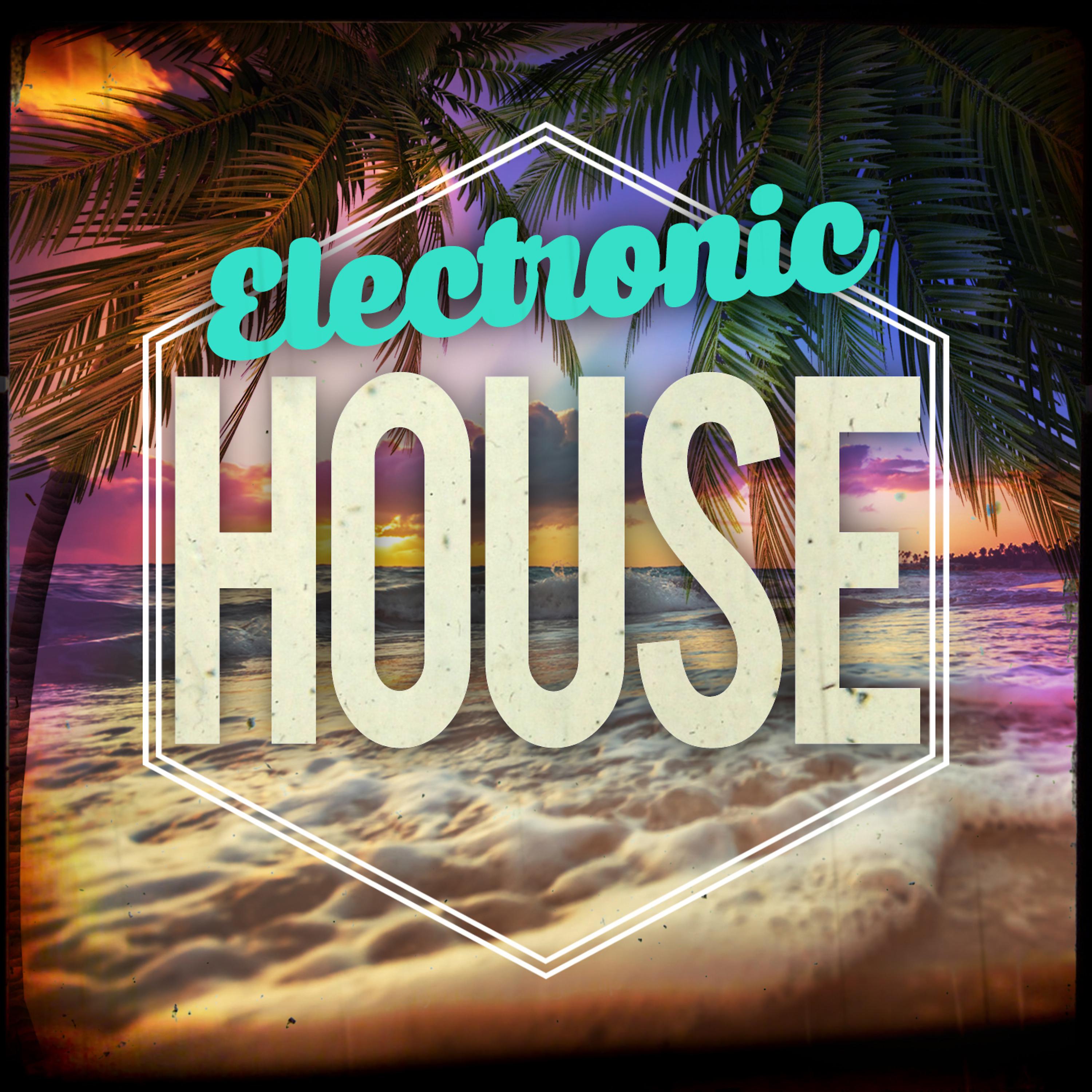 Постер альбома Electronic House