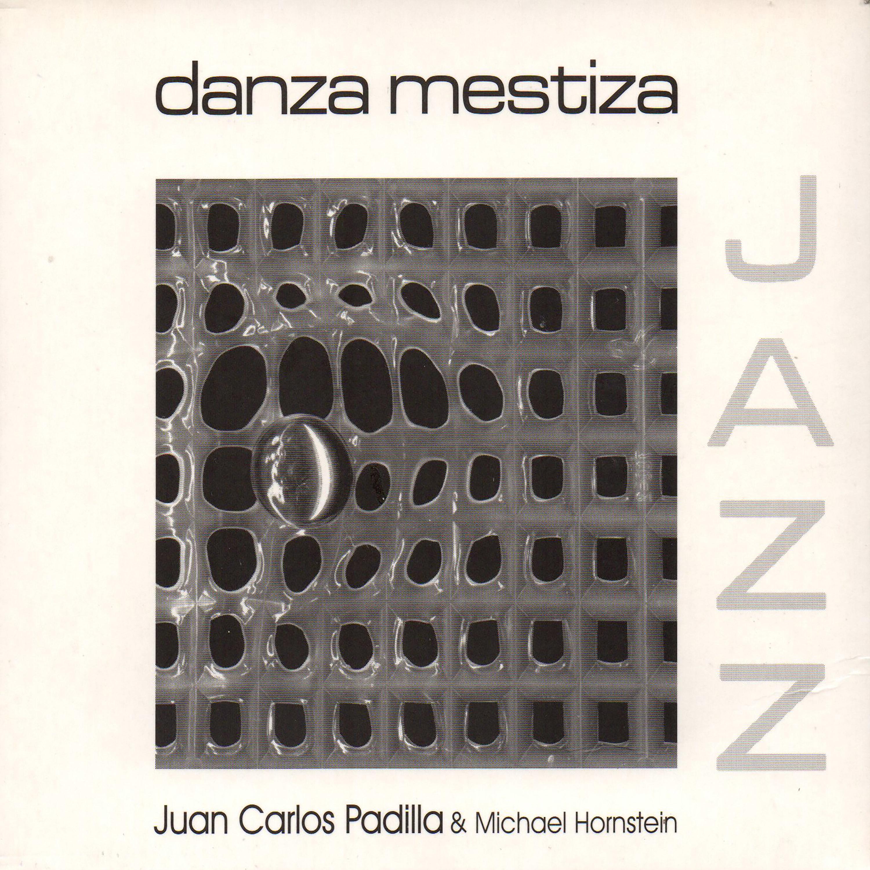 Постер альбома Danza Mestiza