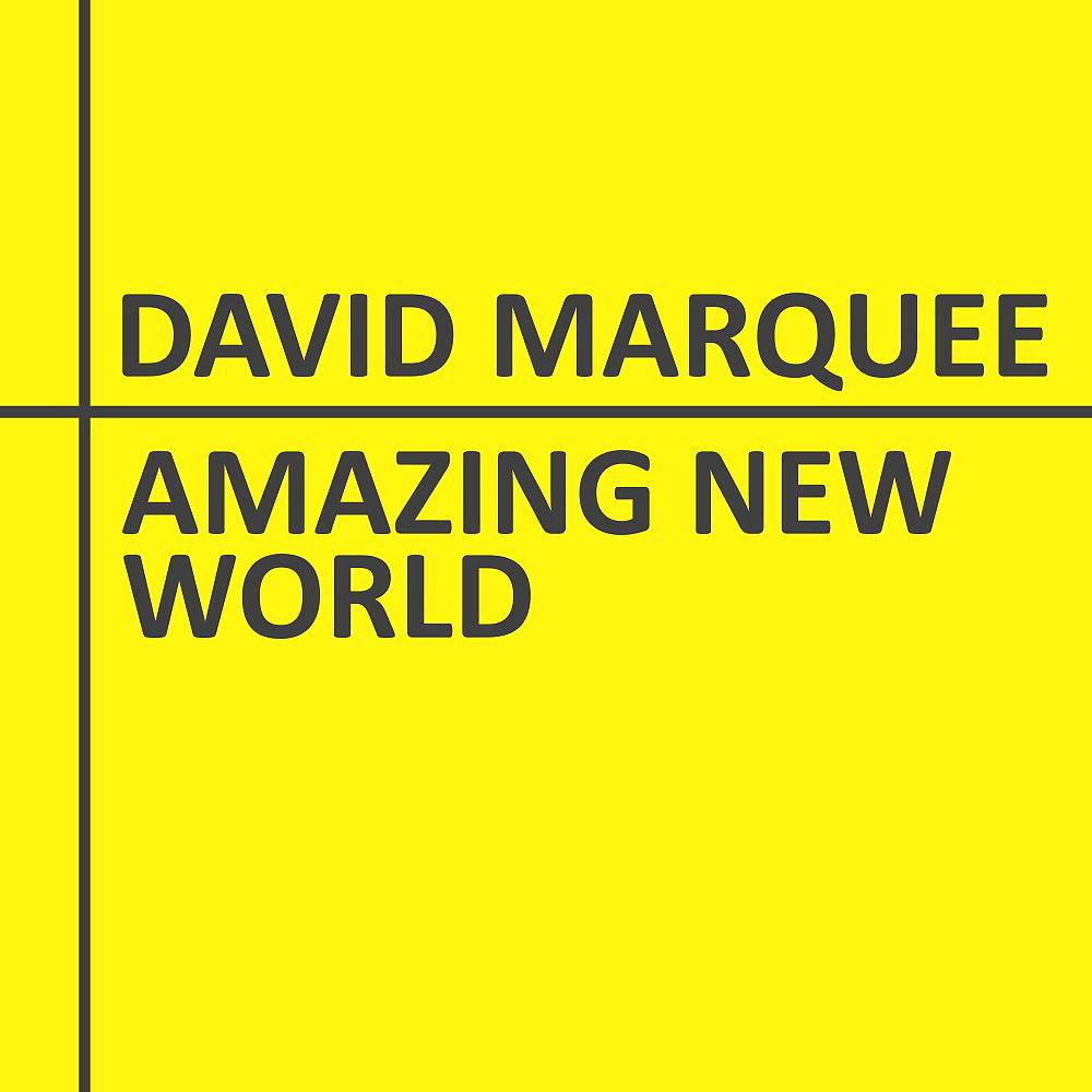 Постер альбома Amazing New World
