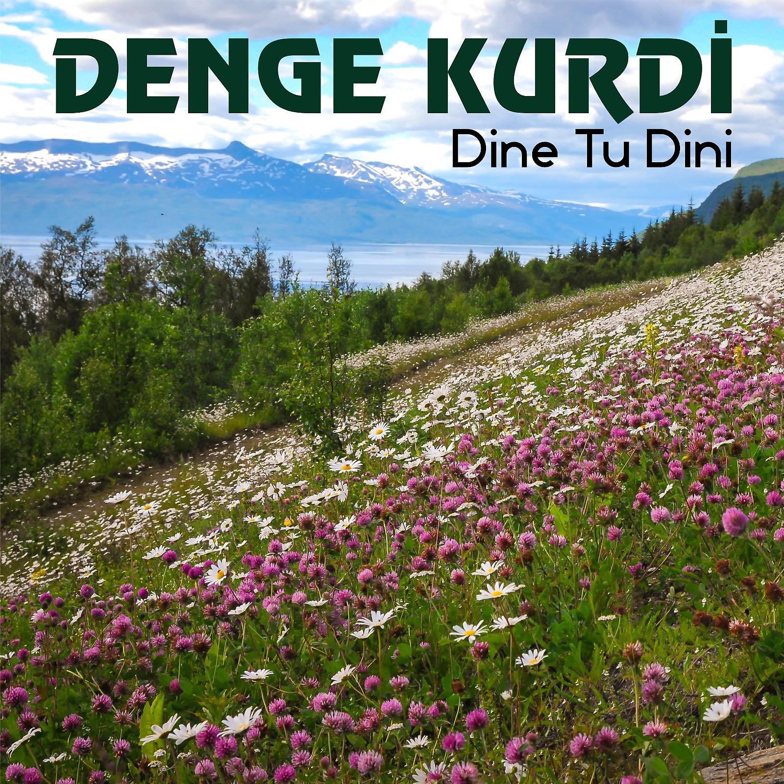 Постер альбома Dine Tu Dini