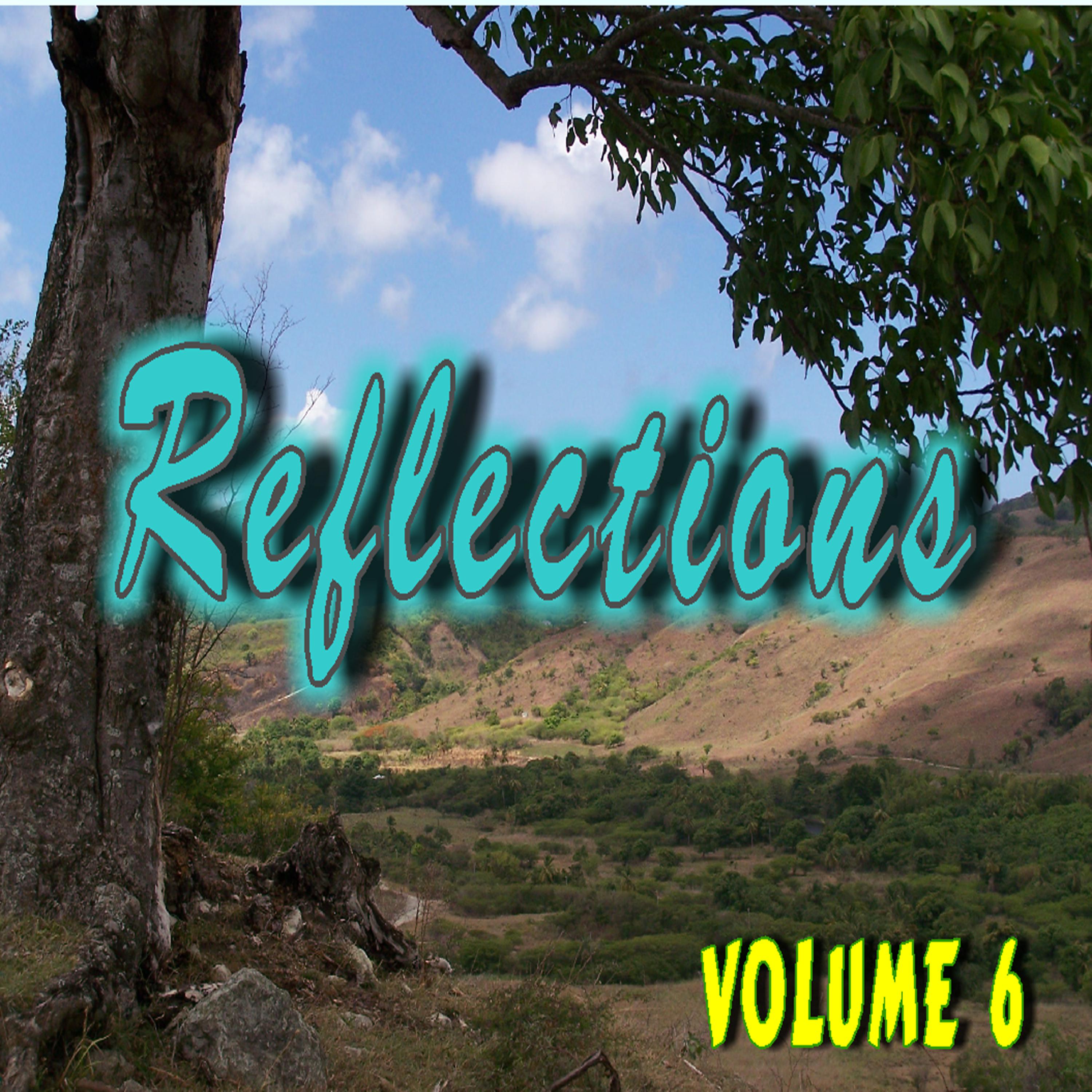 Постер альбома Reflections, Vol. 6