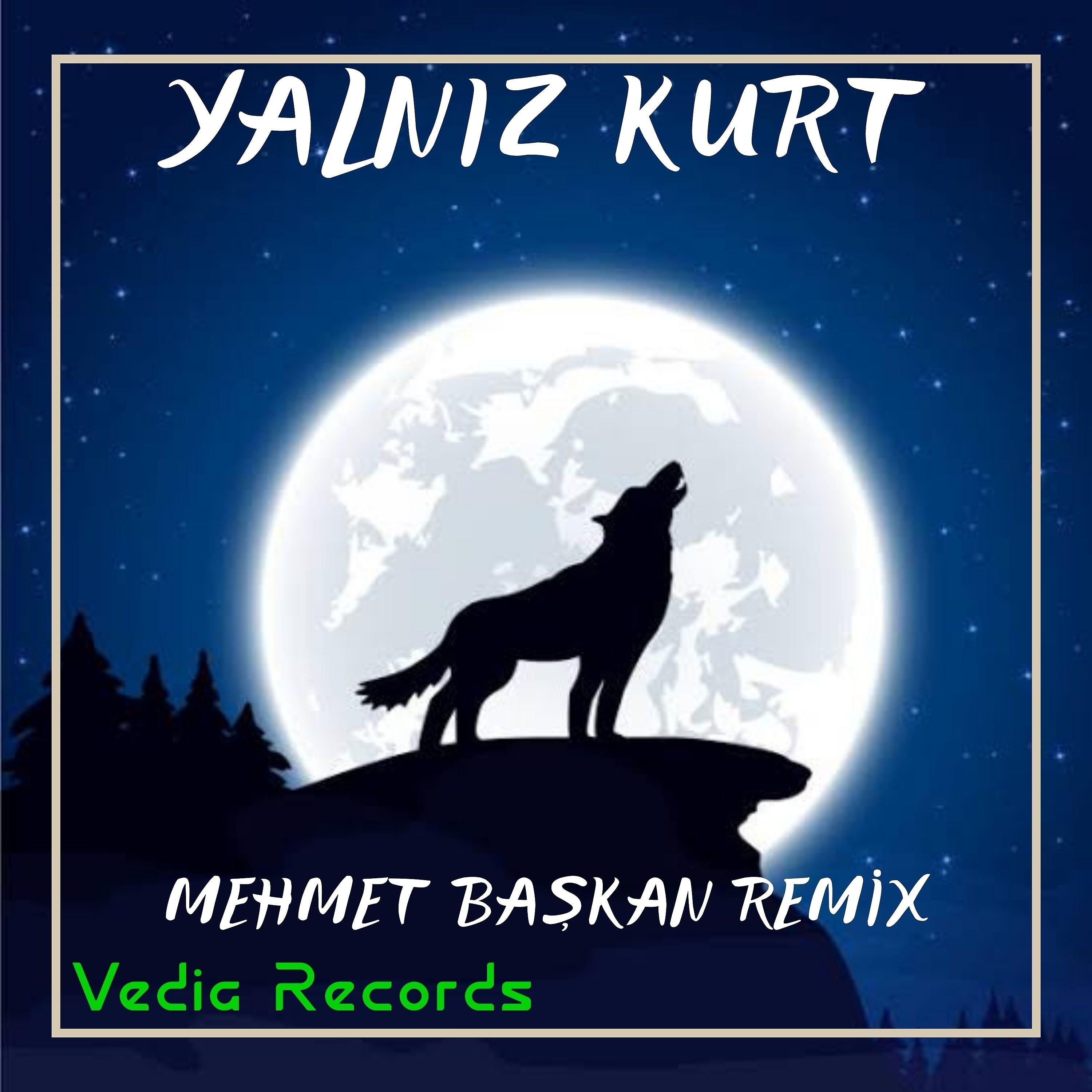 Постер альбома Yalnız Kurt (Remix)