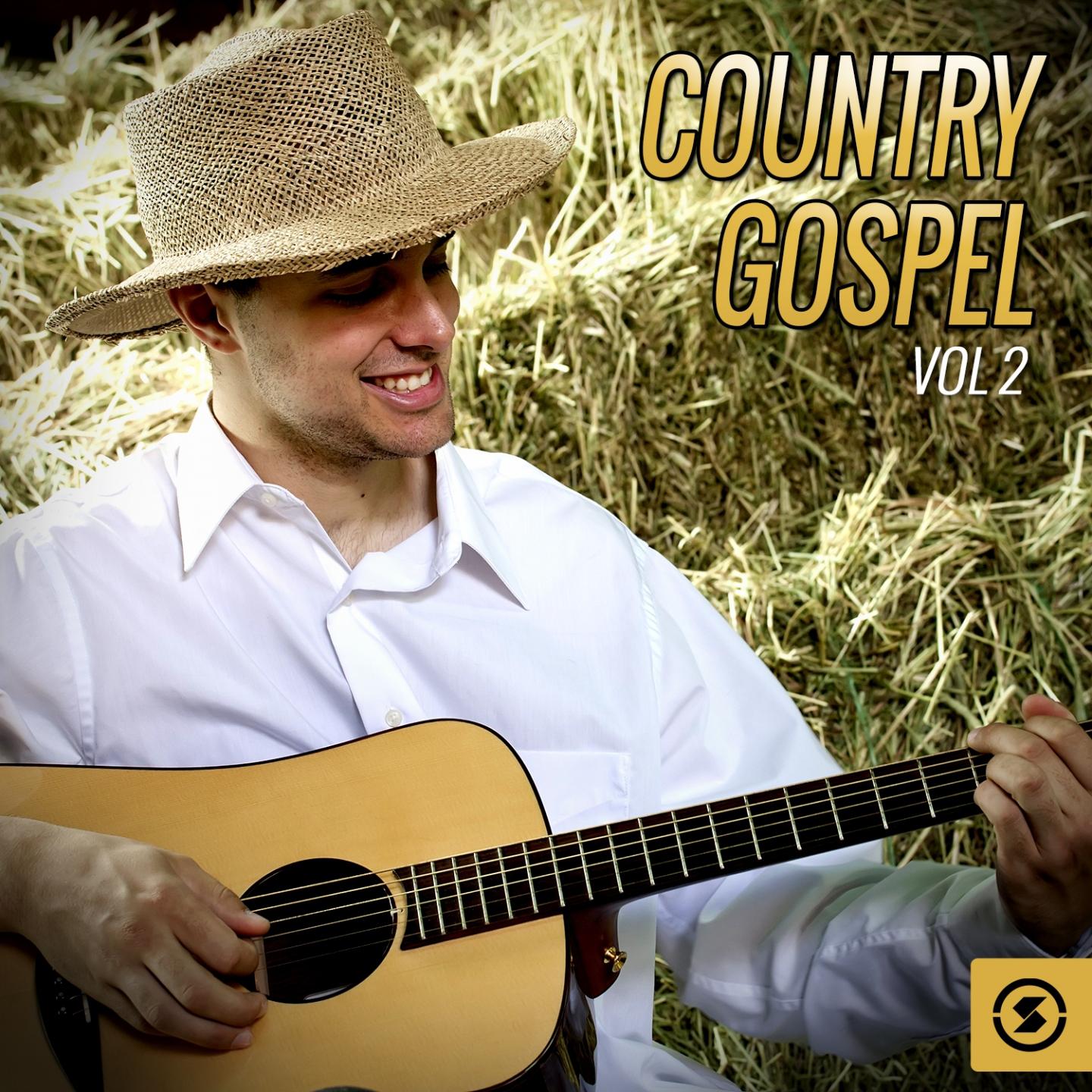 Постер альбома Country Gospel, Vol. 2