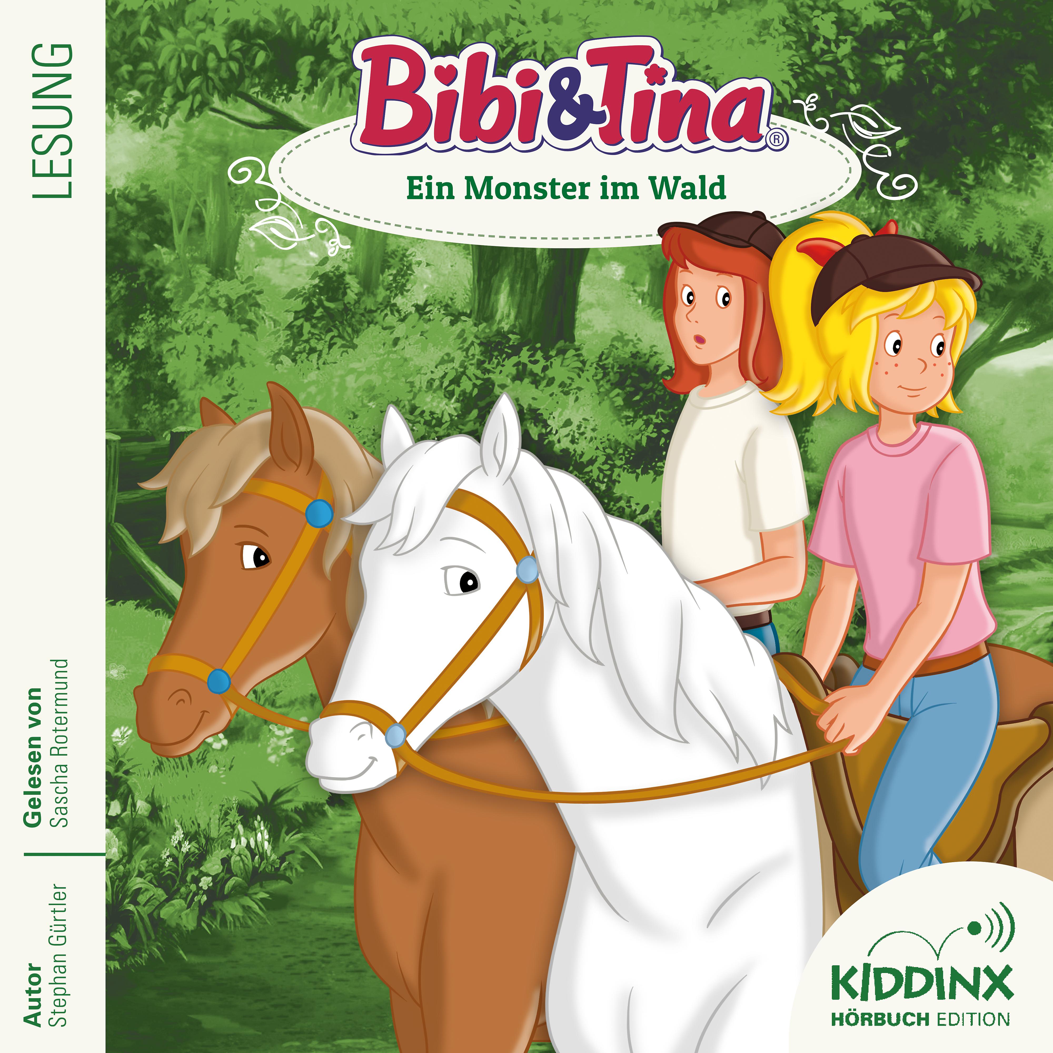 Постер альбома Hörbuch: Ein Monster im Wald (ungekürzt)