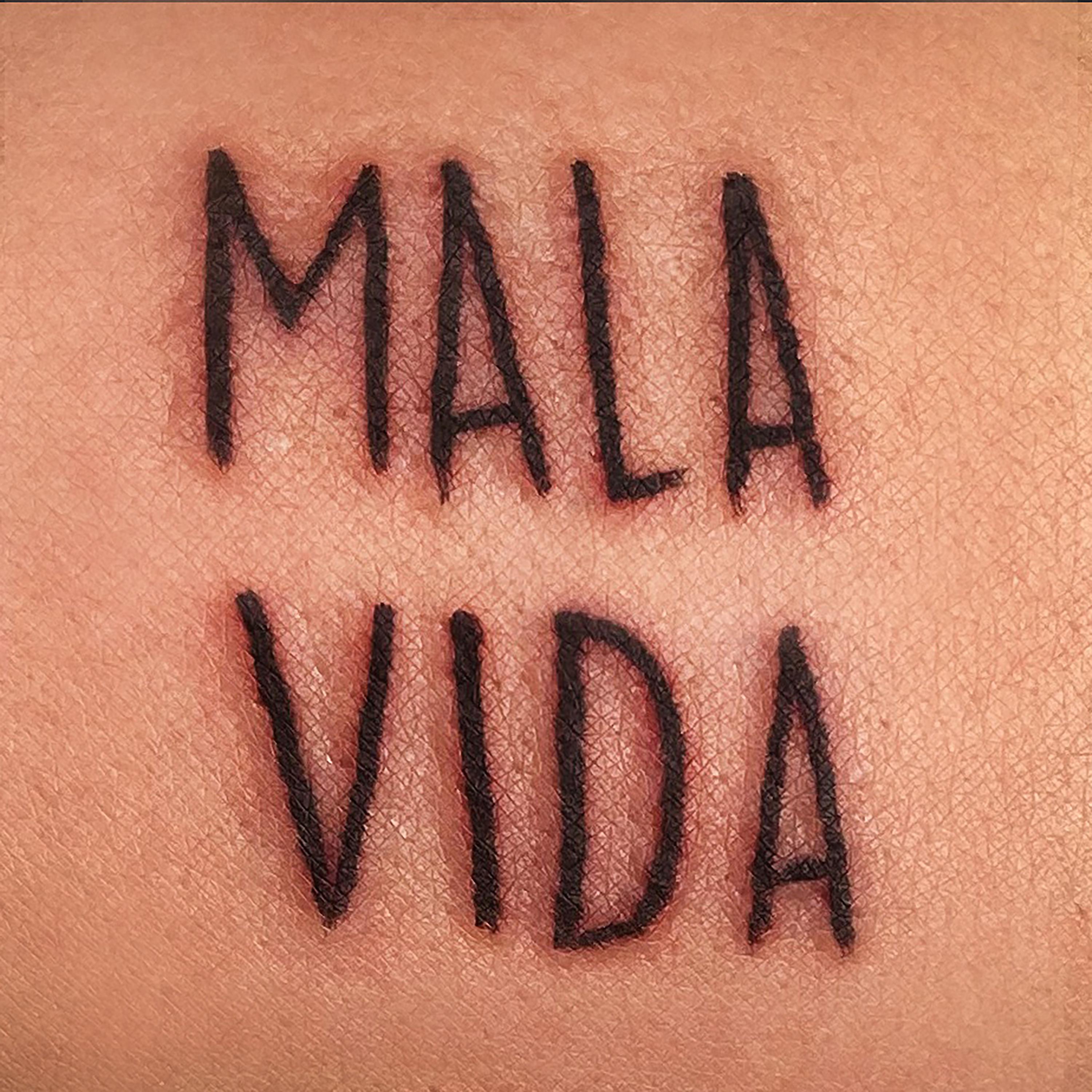Постер альбома Mala Vida