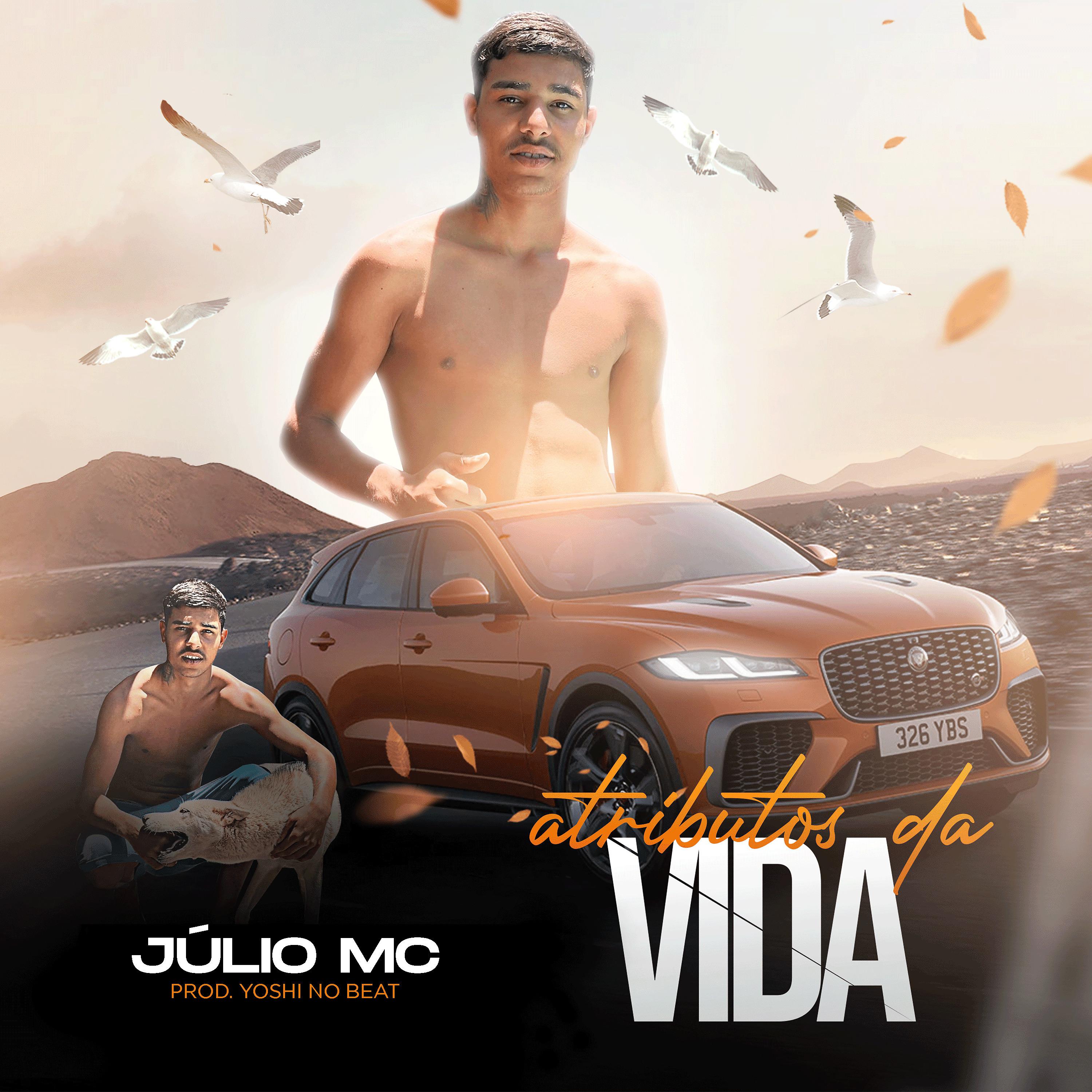 Постер альбома Atributos da Vida