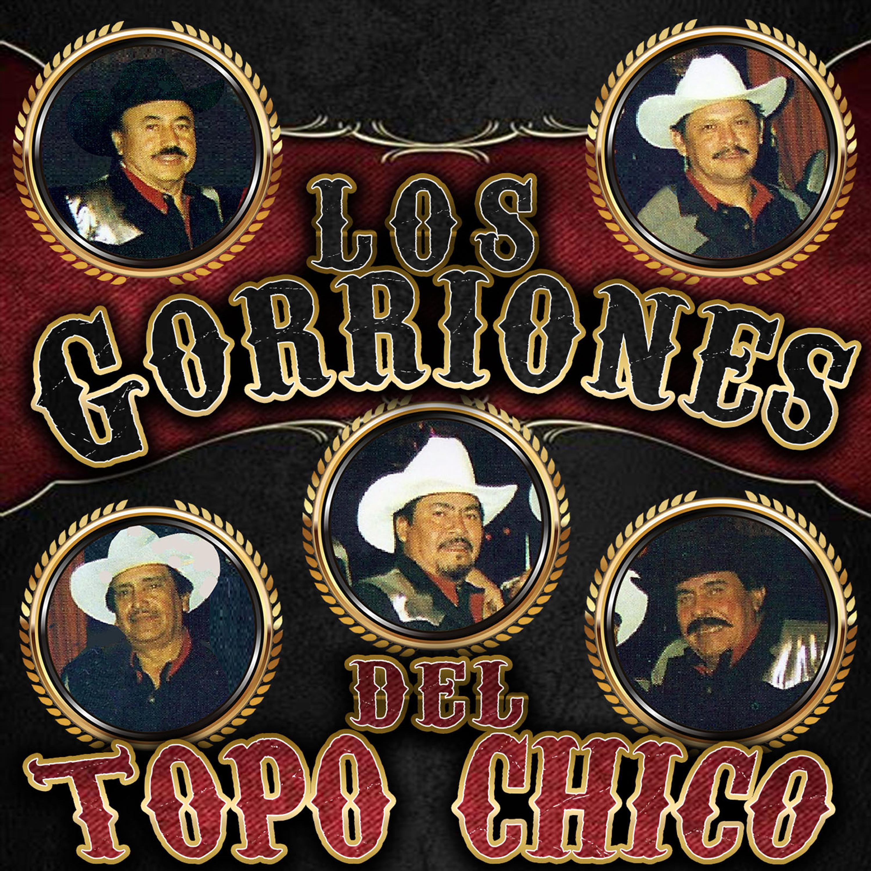 Постер альбома Los Gorriones del Topo Chico