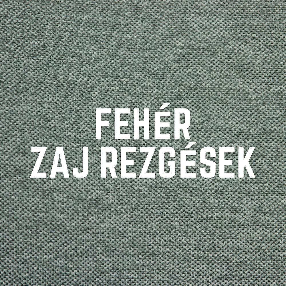 Постер альбома Fehér Zaj Rezgések