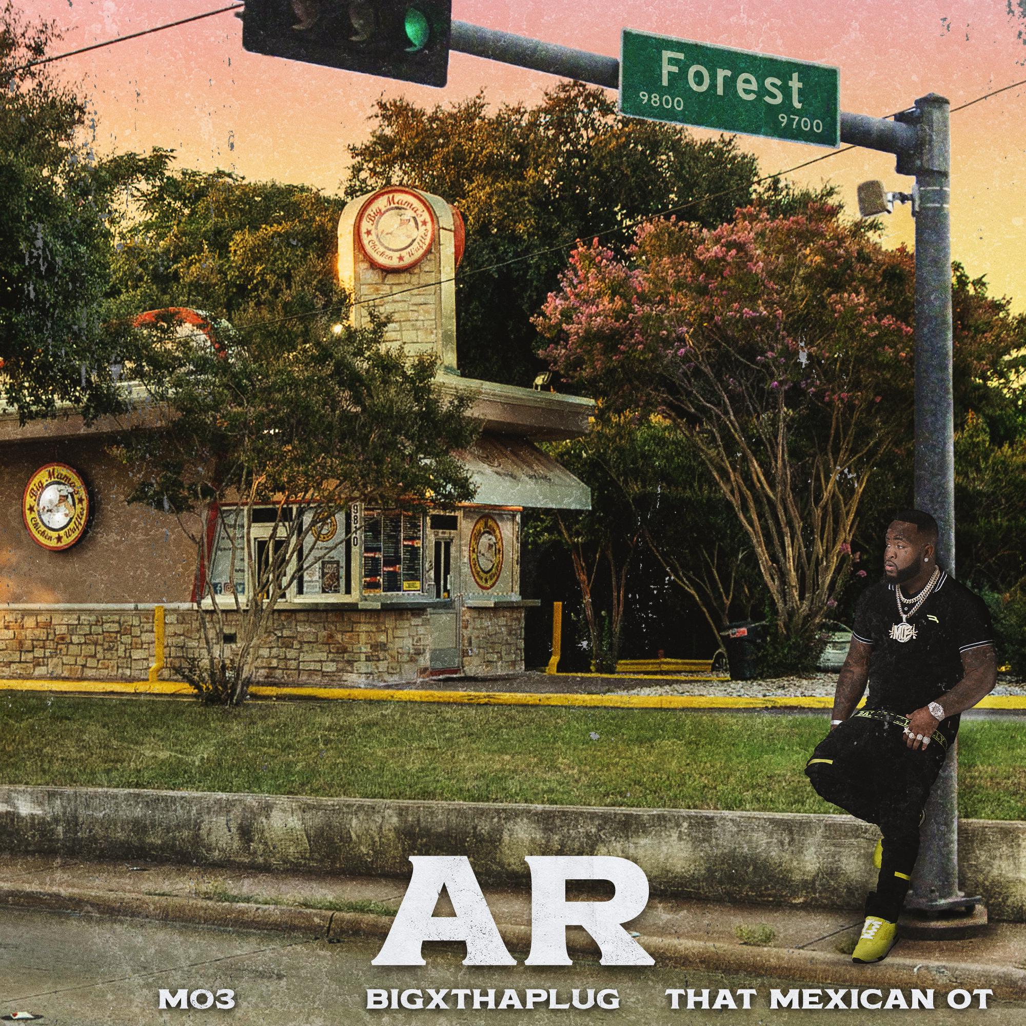 Постер альбома AR (feat. BigXthaPlug)