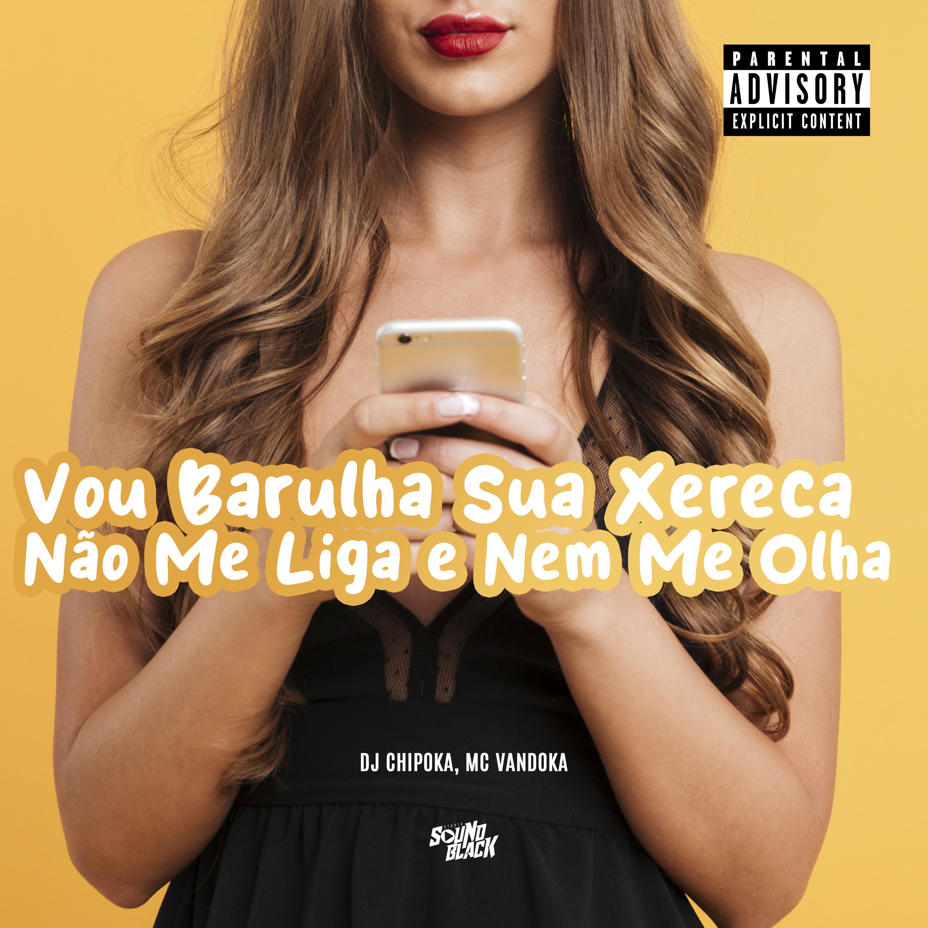 Постер альбома Vou Barulha Sua Xereca - Não Me Liga e Nem Me Olha