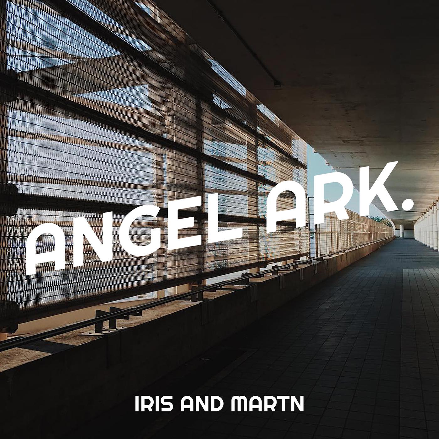 Постер альбома Angel Ark.