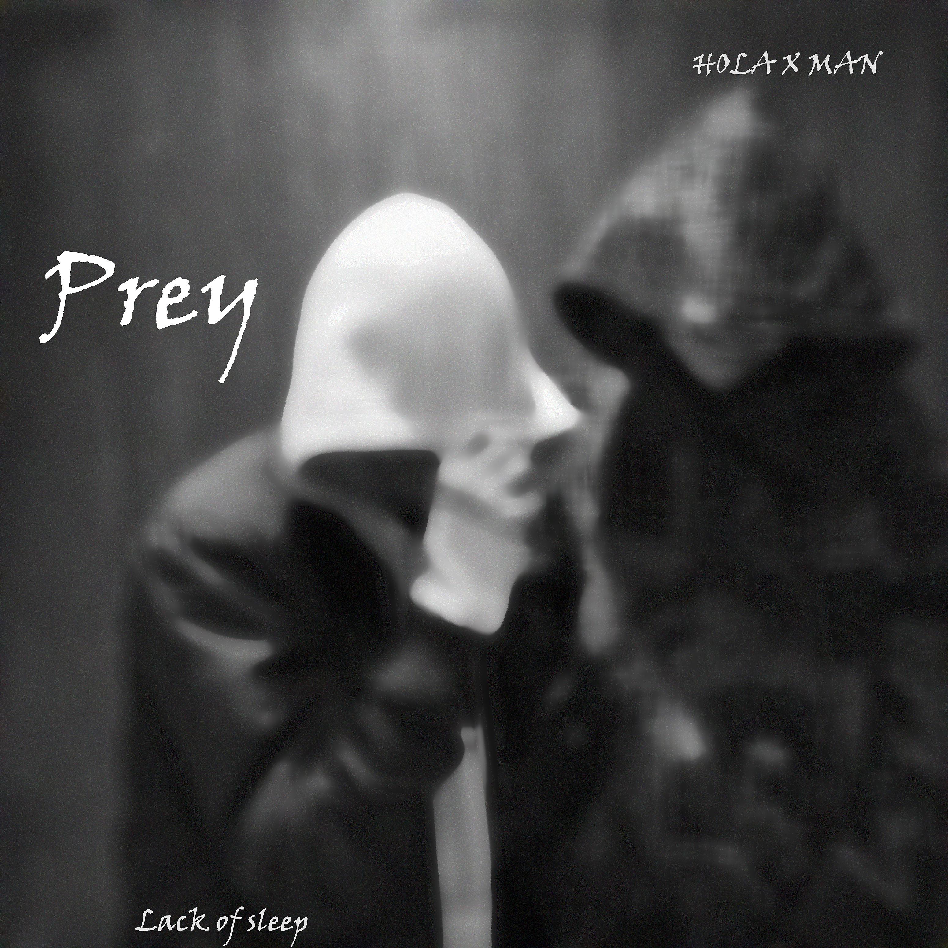 Постер альбома Prey