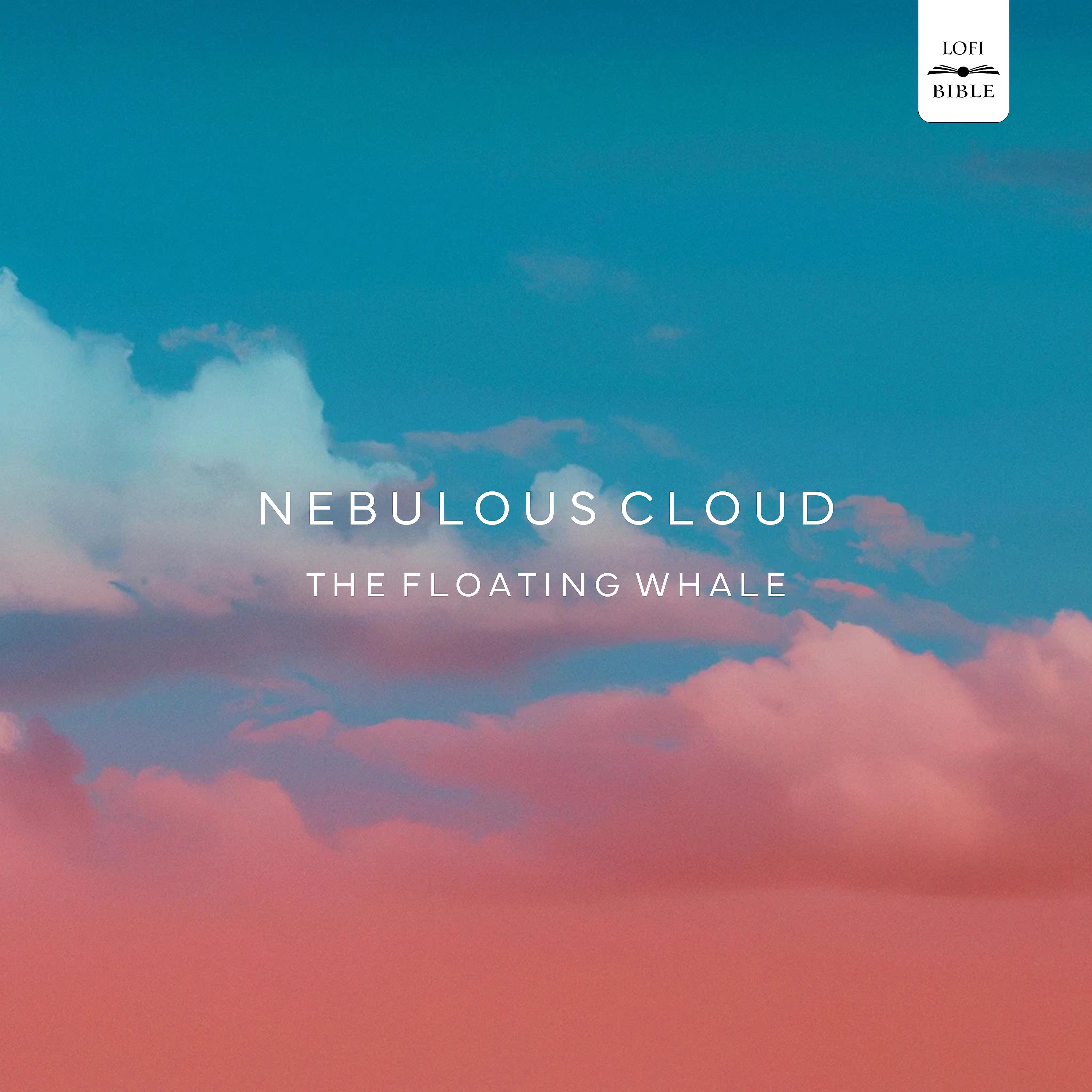 Постер альбома Nebulous Cloud