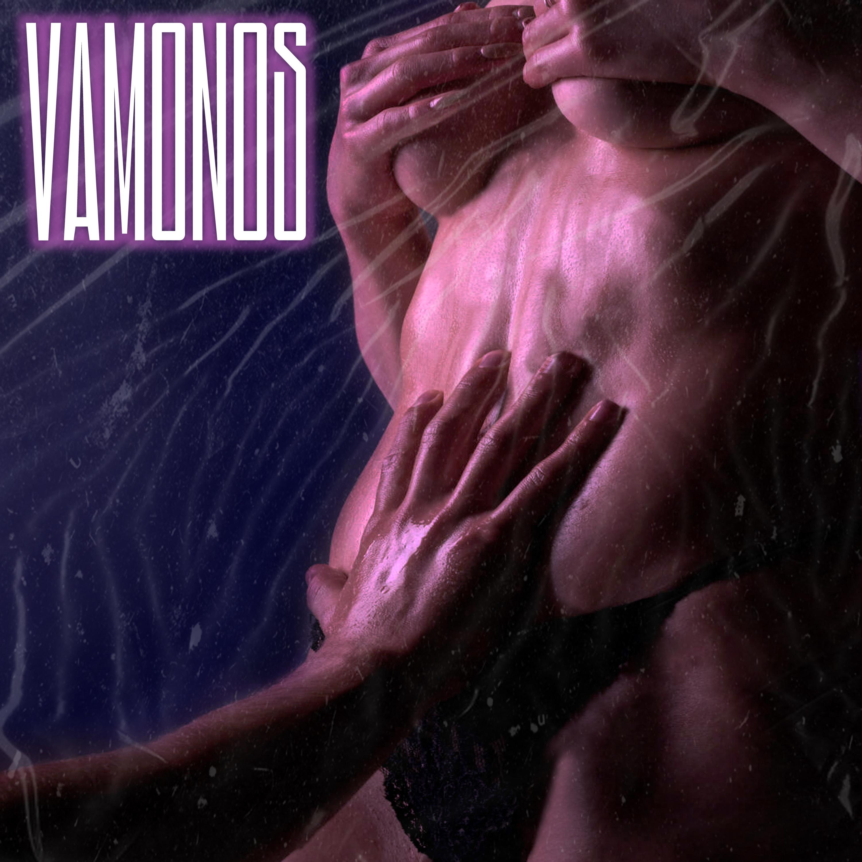 Постер альбома Vámonos
