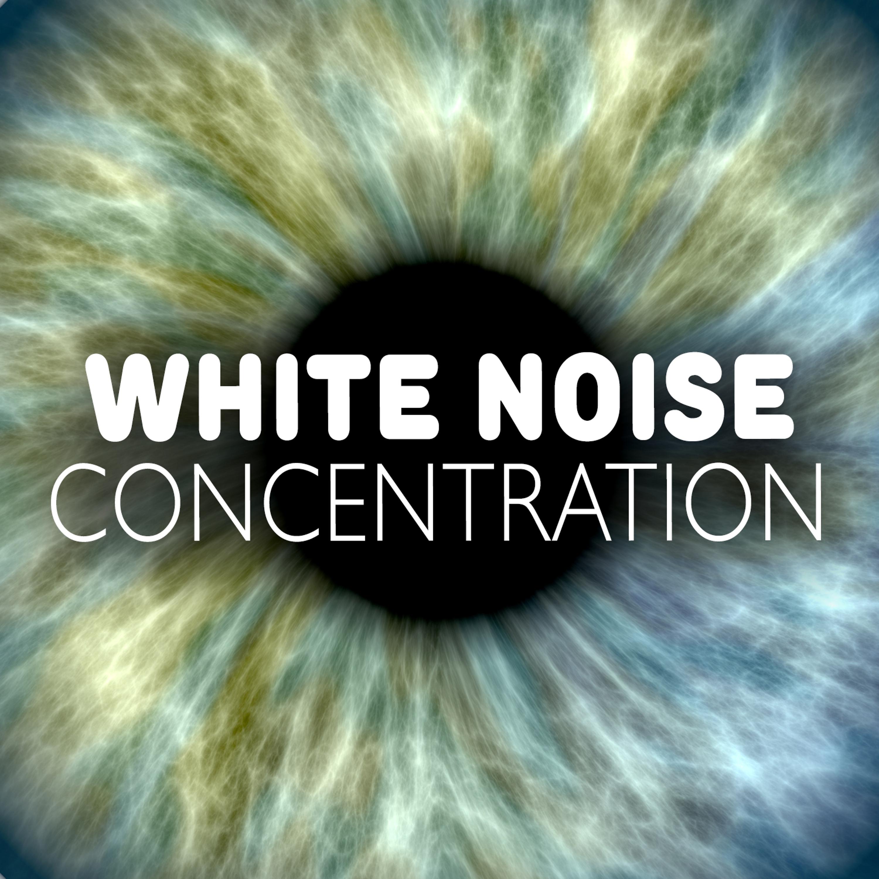 Постер альбома White Noise Concentration