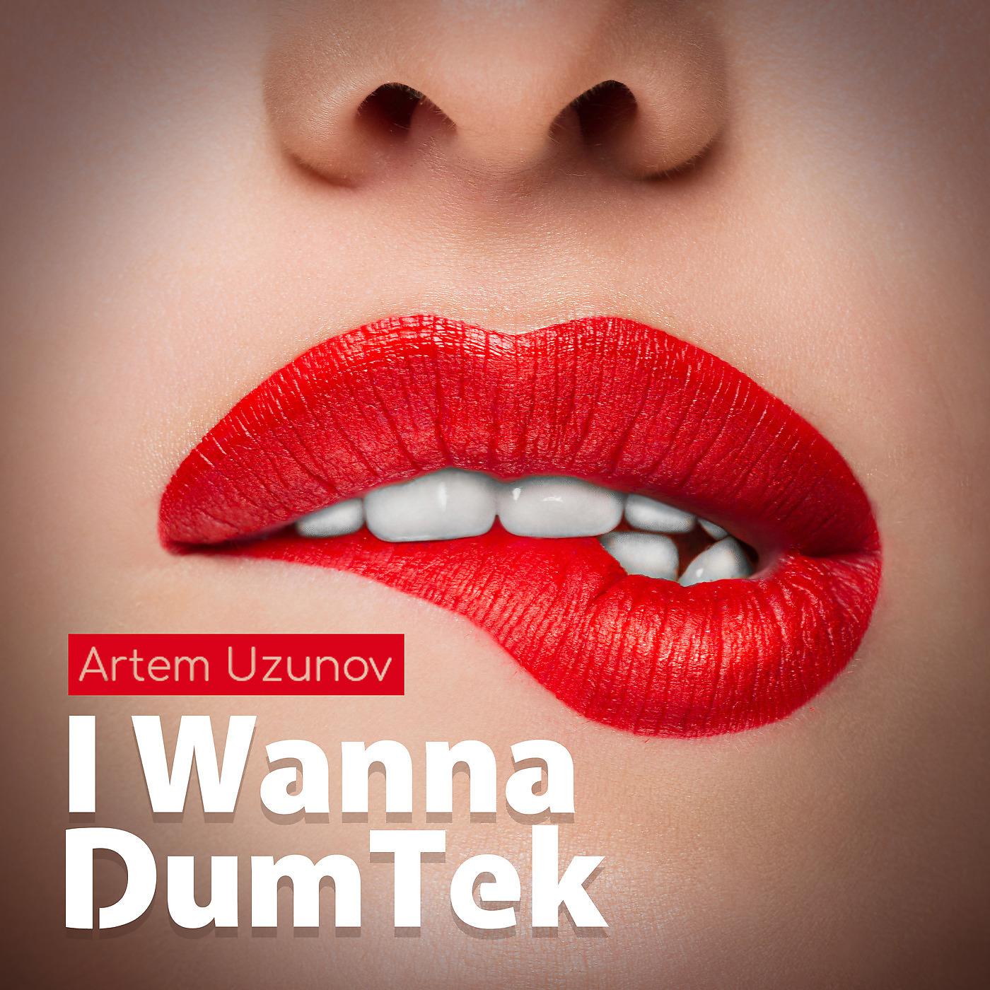Постер альбома I Wanna DumTek