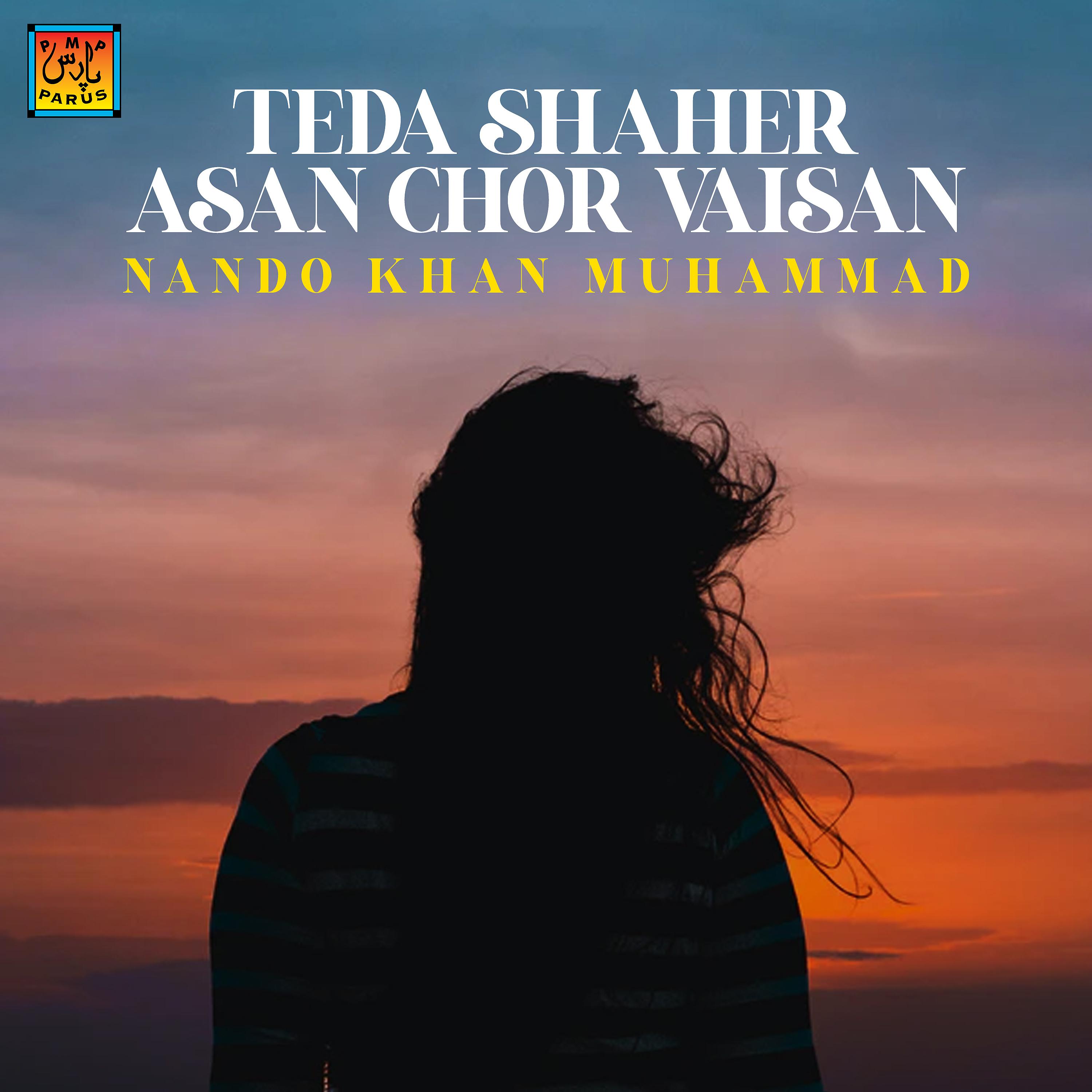 Постер альбома Teda Shaher Asan Chor Vaisan