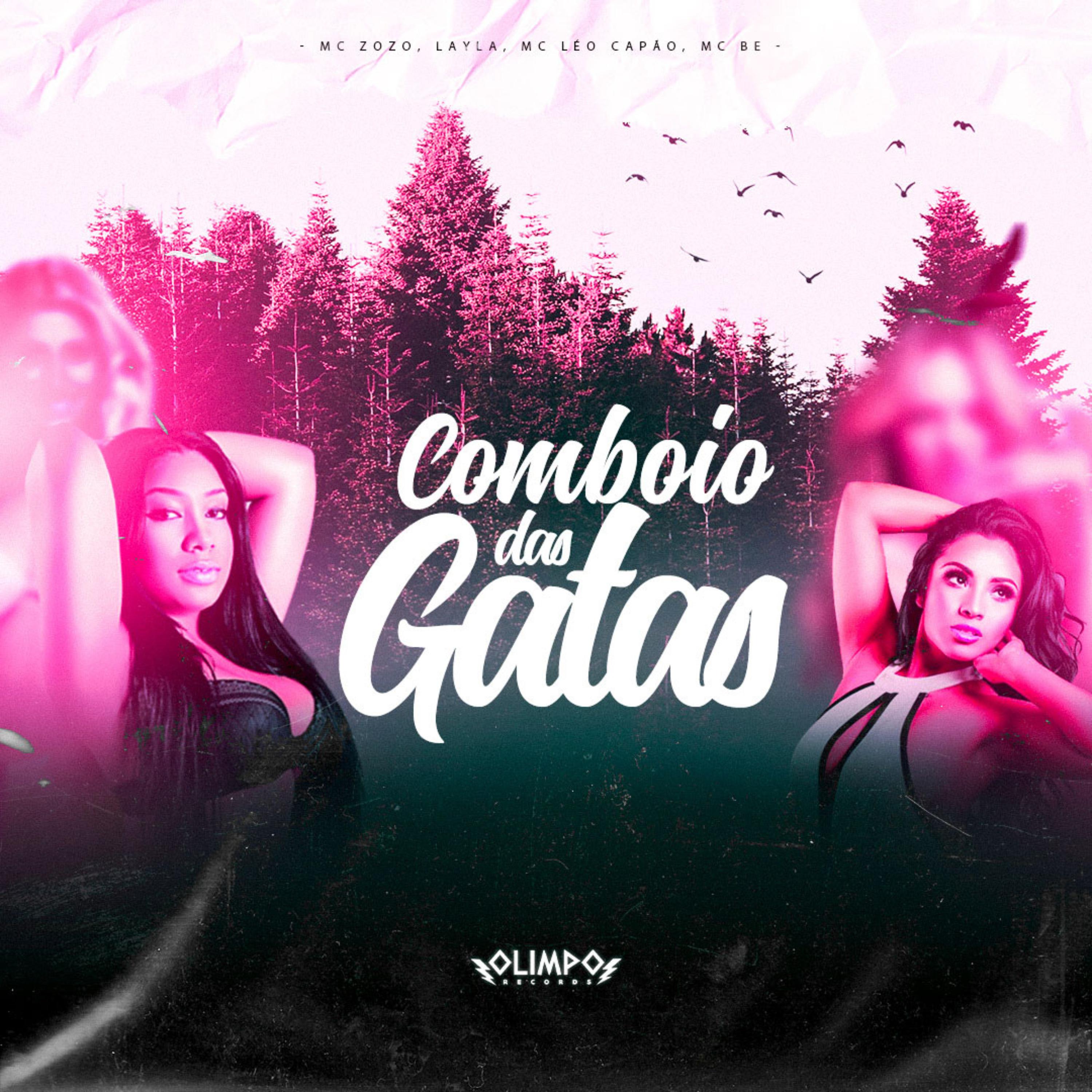 Постер альбома Comboio das Gatas