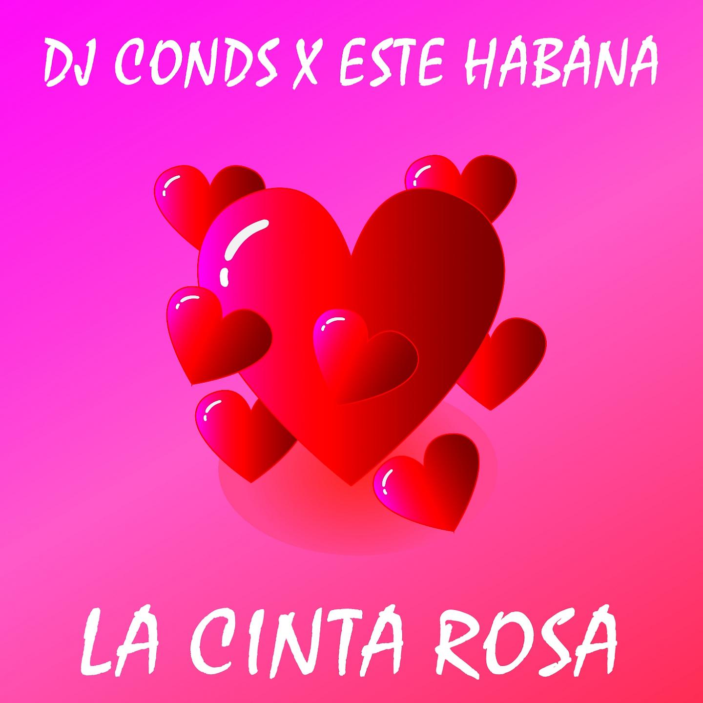 Постер альбома La Cinta Rosa