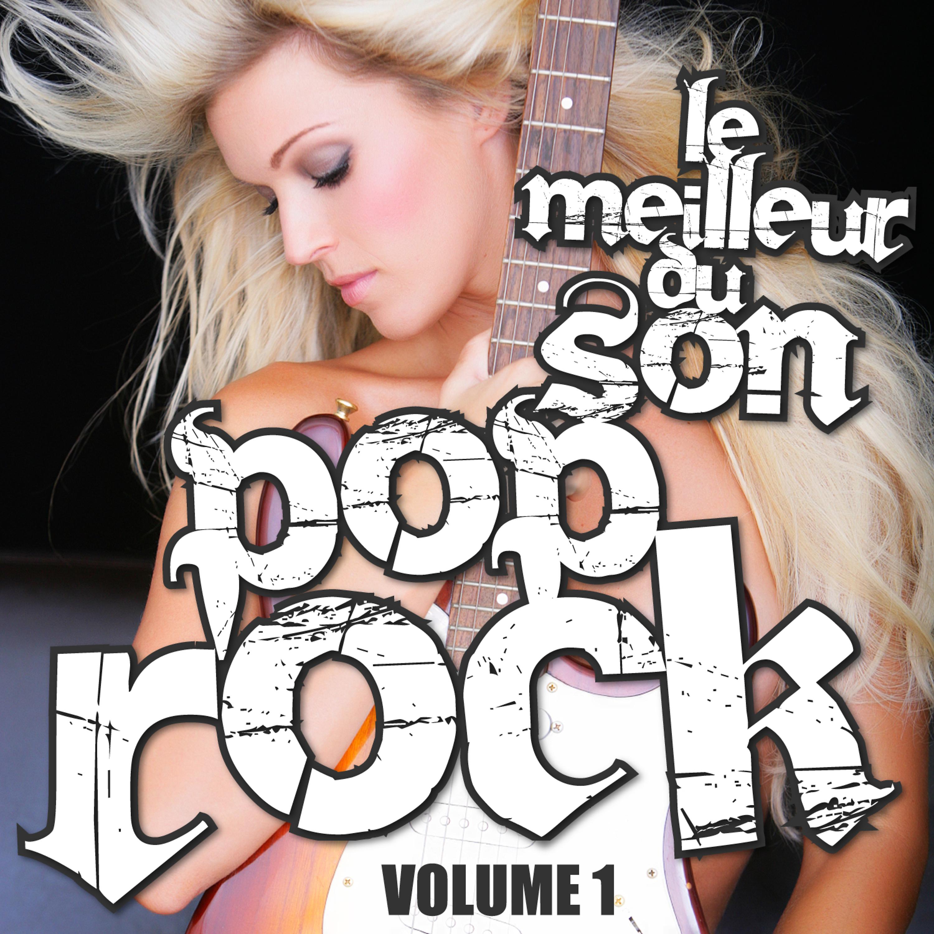 Постер альбома Le Meilleur Du Son Pop Rock Vol. 1
