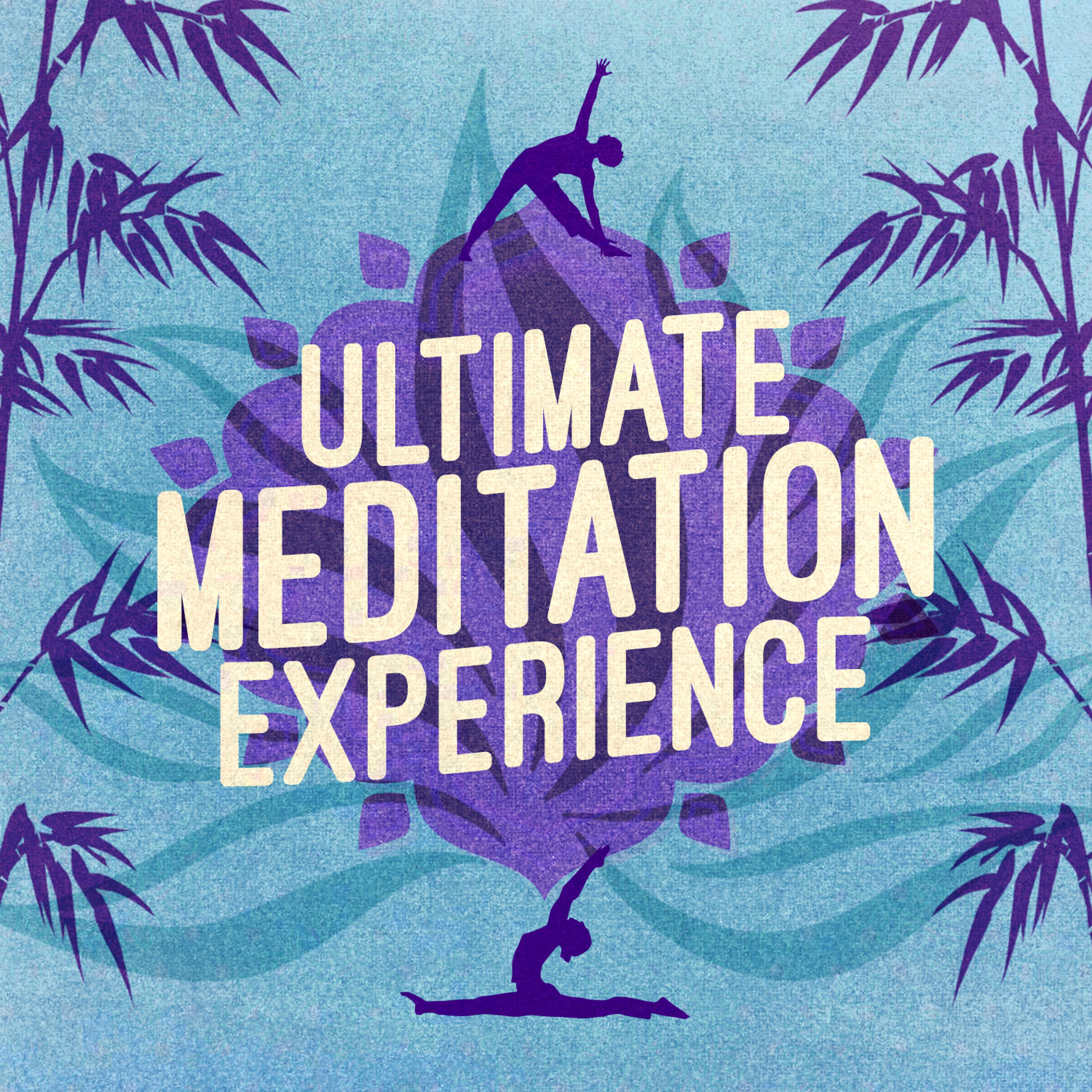 Постер альбома Ultimate Meditation Experience