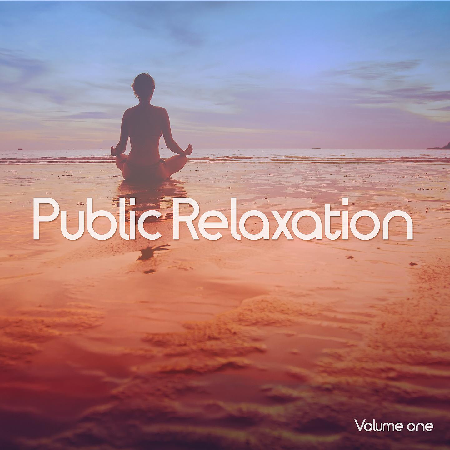 Постер альбома Public Relaxation, Vol. 1