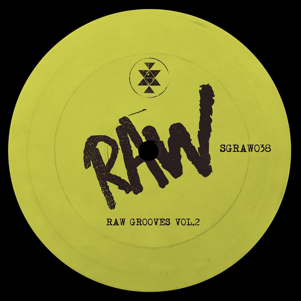 Постер альбома Raw Grooves Vol.2