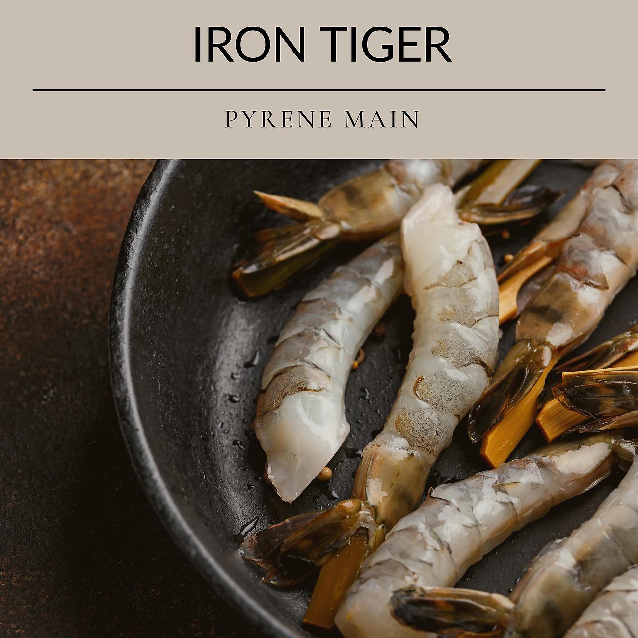 Постер альбома Iron Tiger