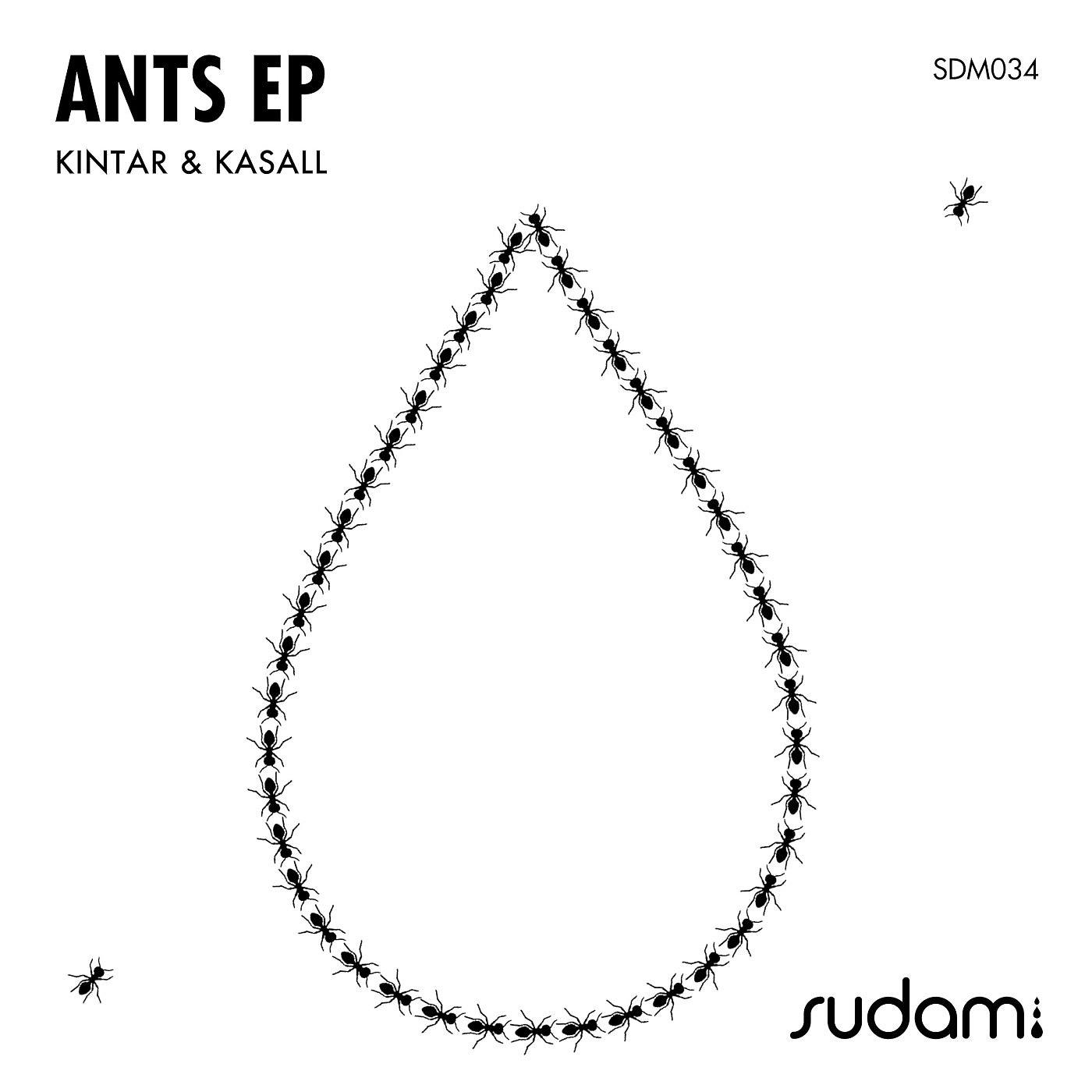 Постер альбома Ants EP