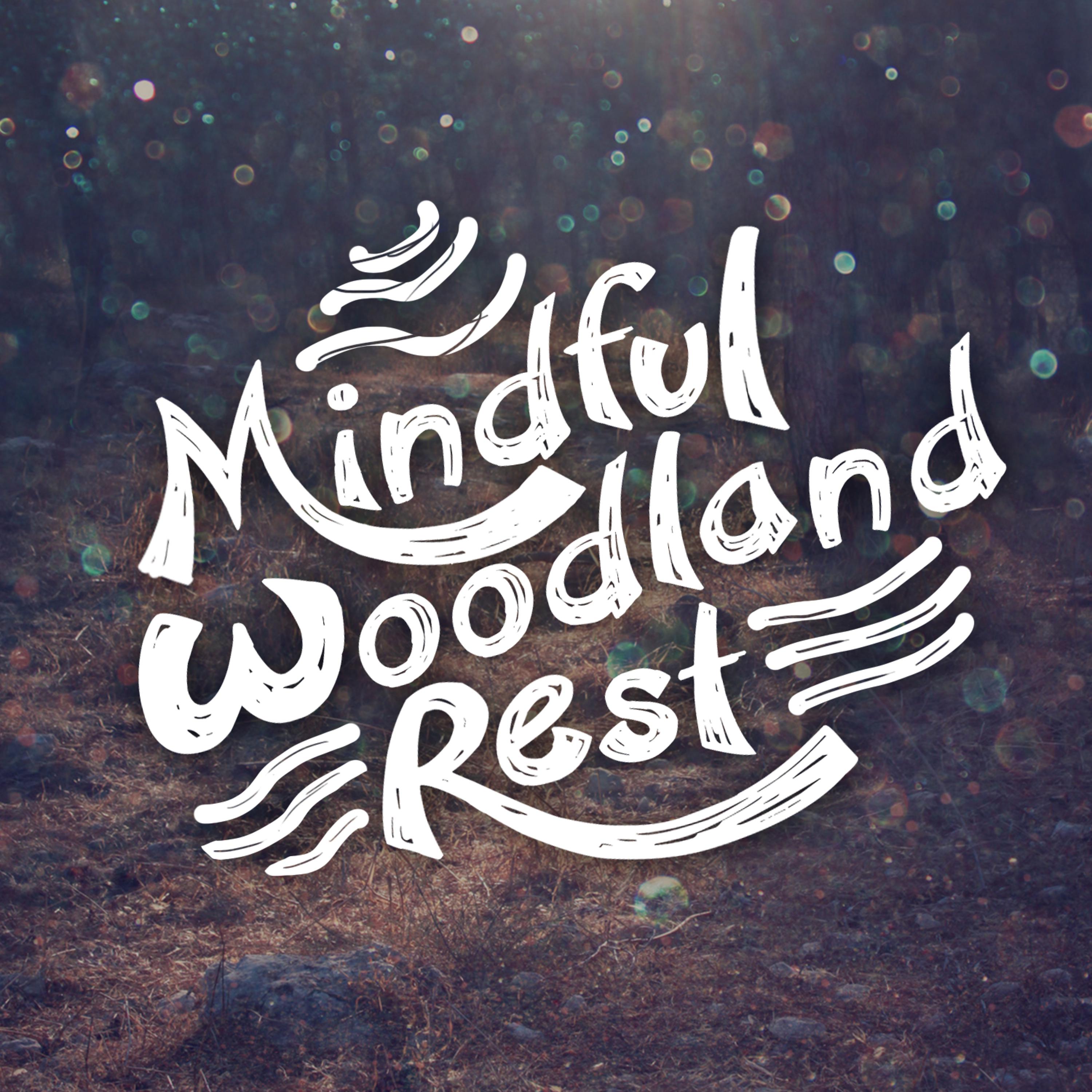 Постер альбома Mindful Woodland Rest