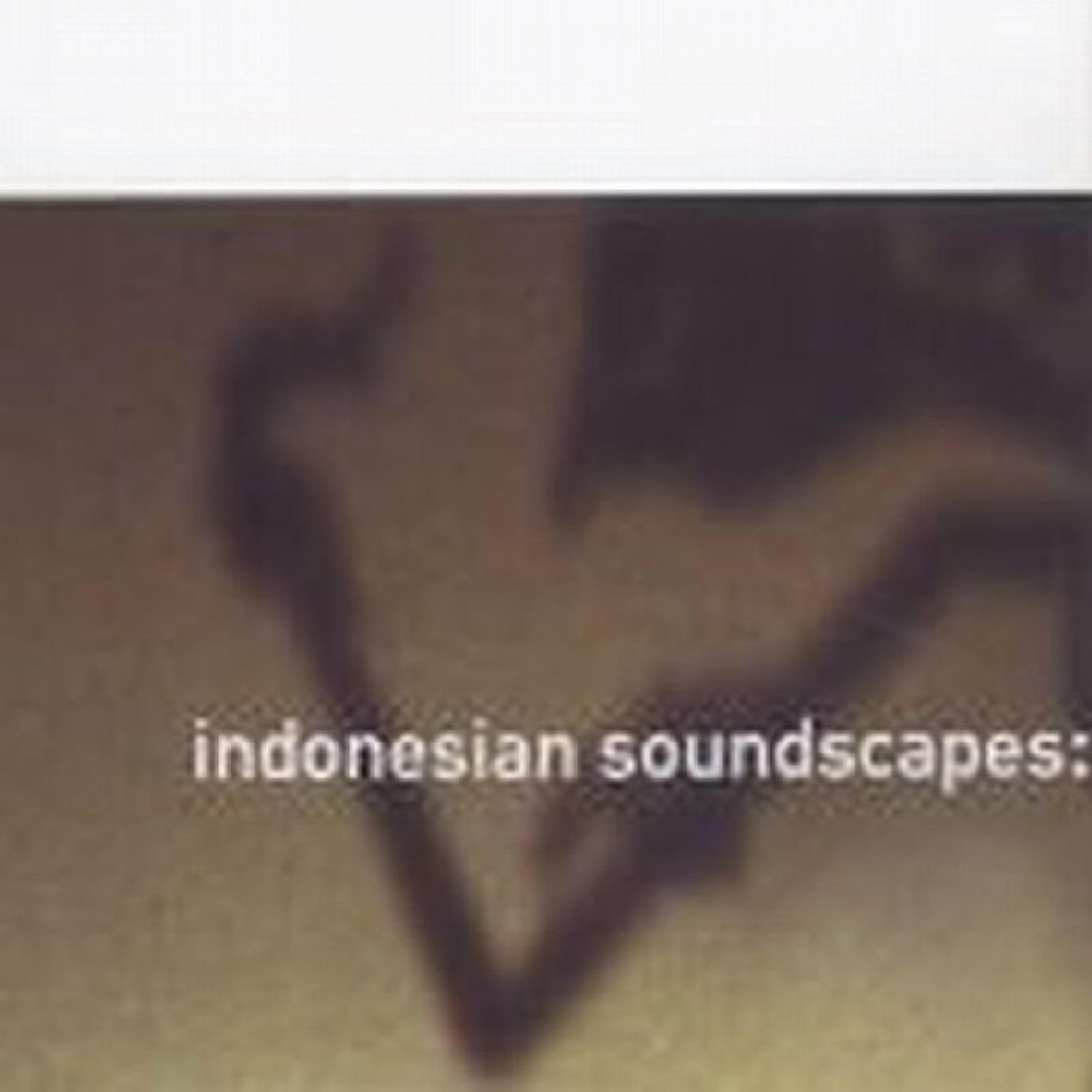 Постер альбома Indonesian Soundscapes