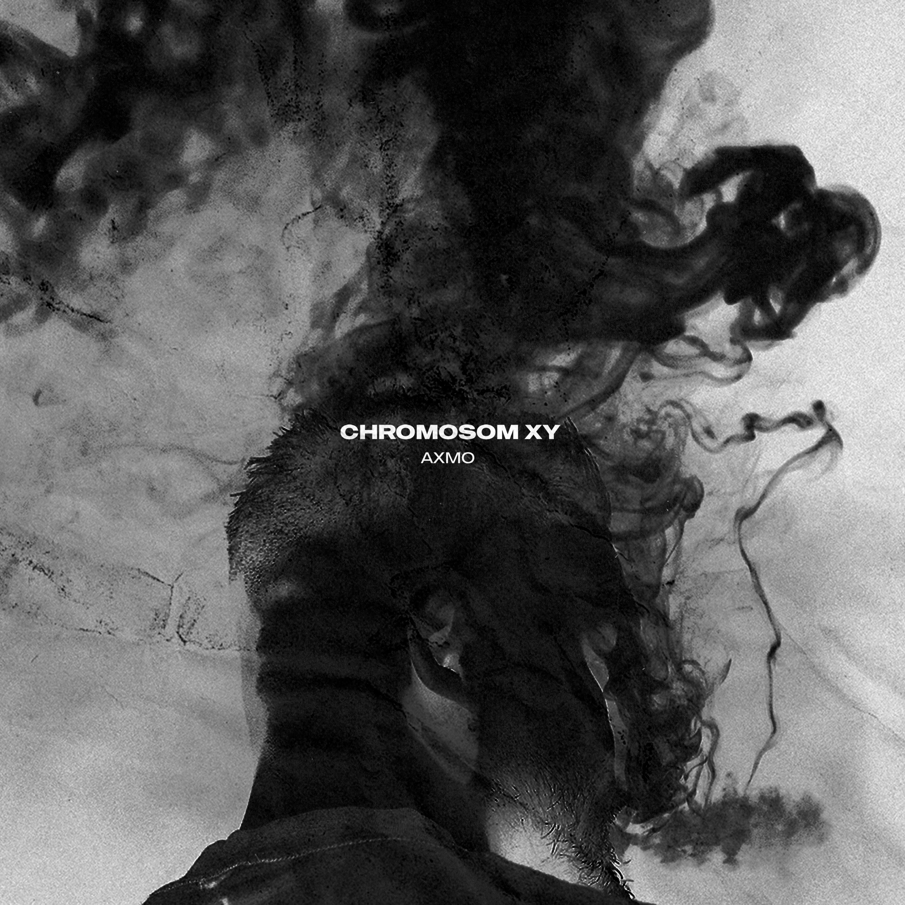 Постер альбома CHROMOSOM XY