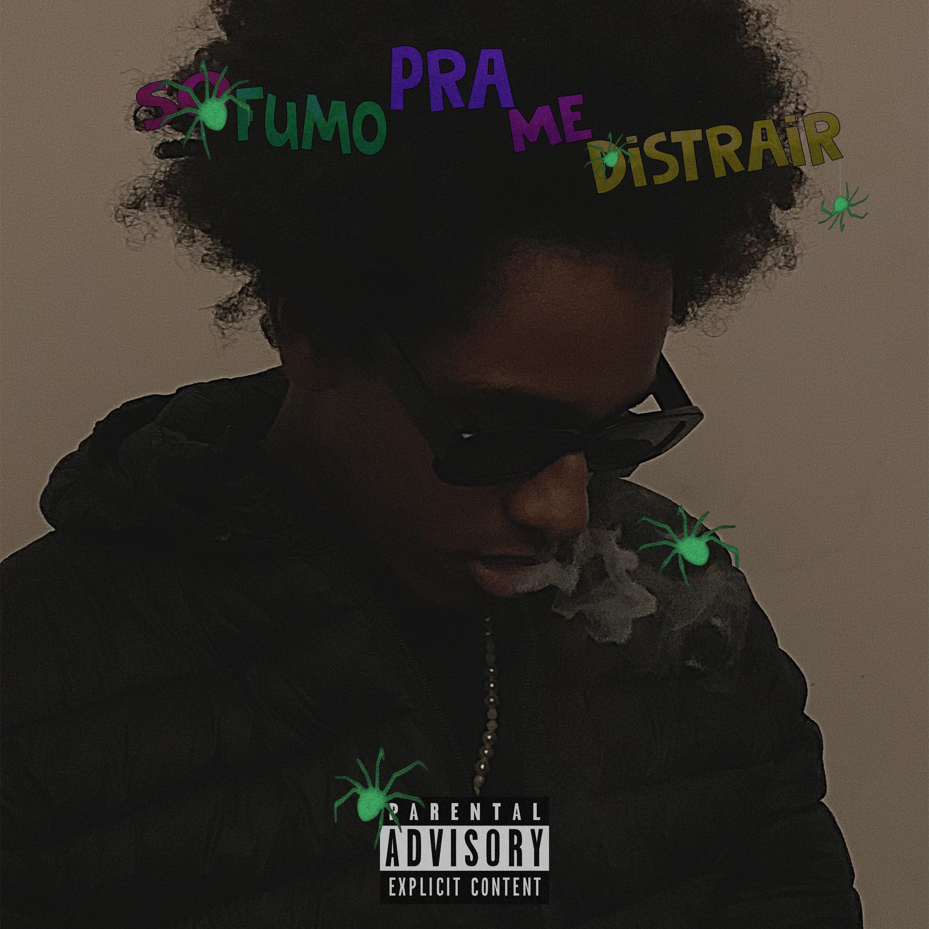 Постер альбома Só Fumo pra Me Distrair