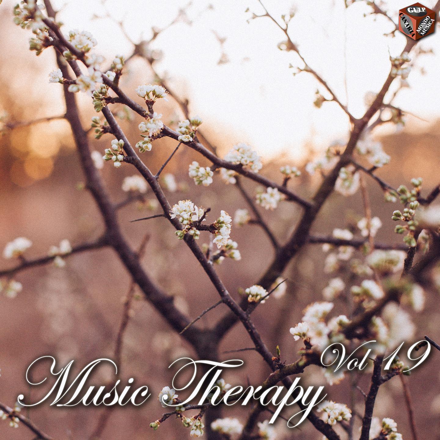 Постер альбома Music Therapy, Vol. 19
