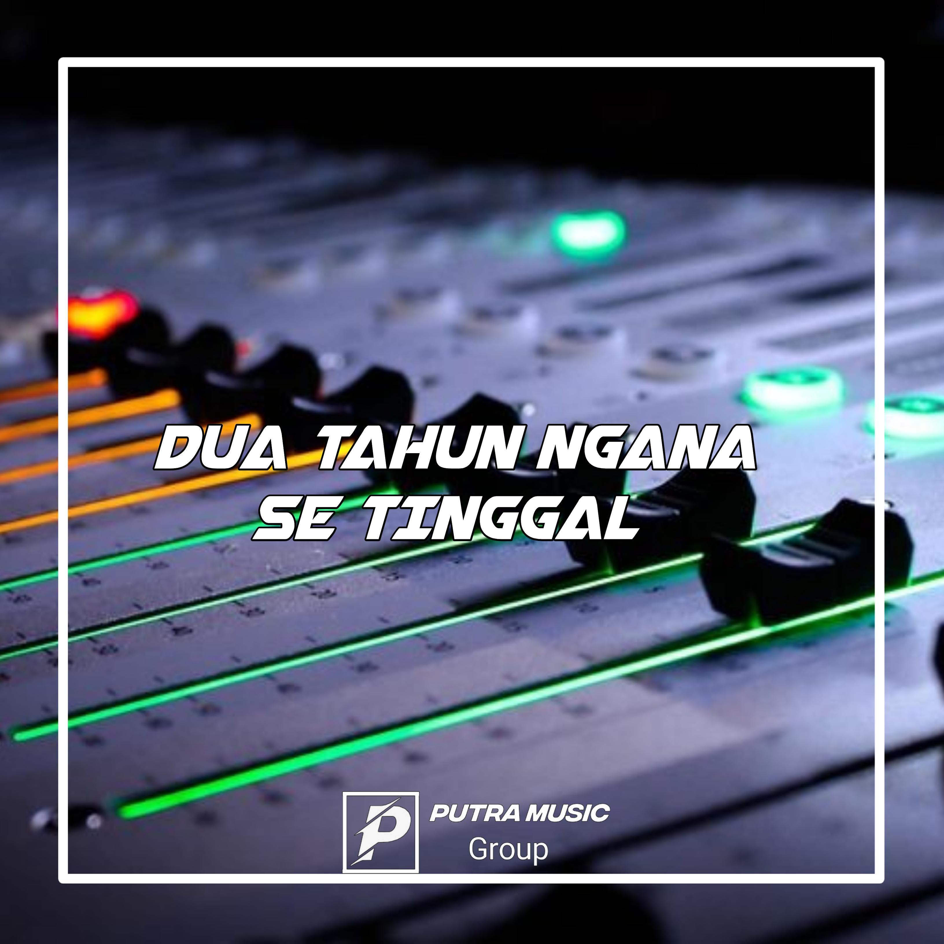Постер альбома DJ DUA TAHUN NGANA SE TINGGAL