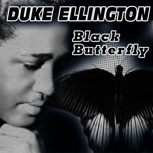 Постер альбома Black Butterfly