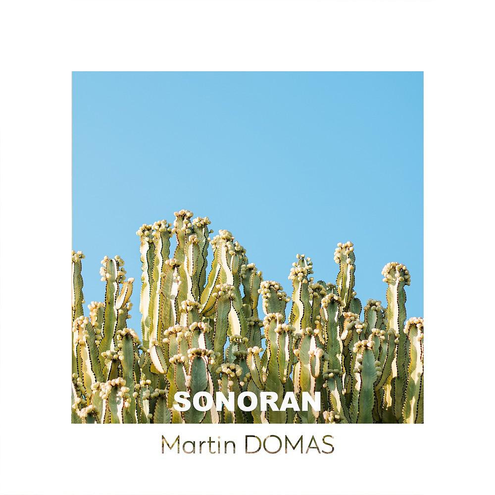 Постер альбома Sonoran
